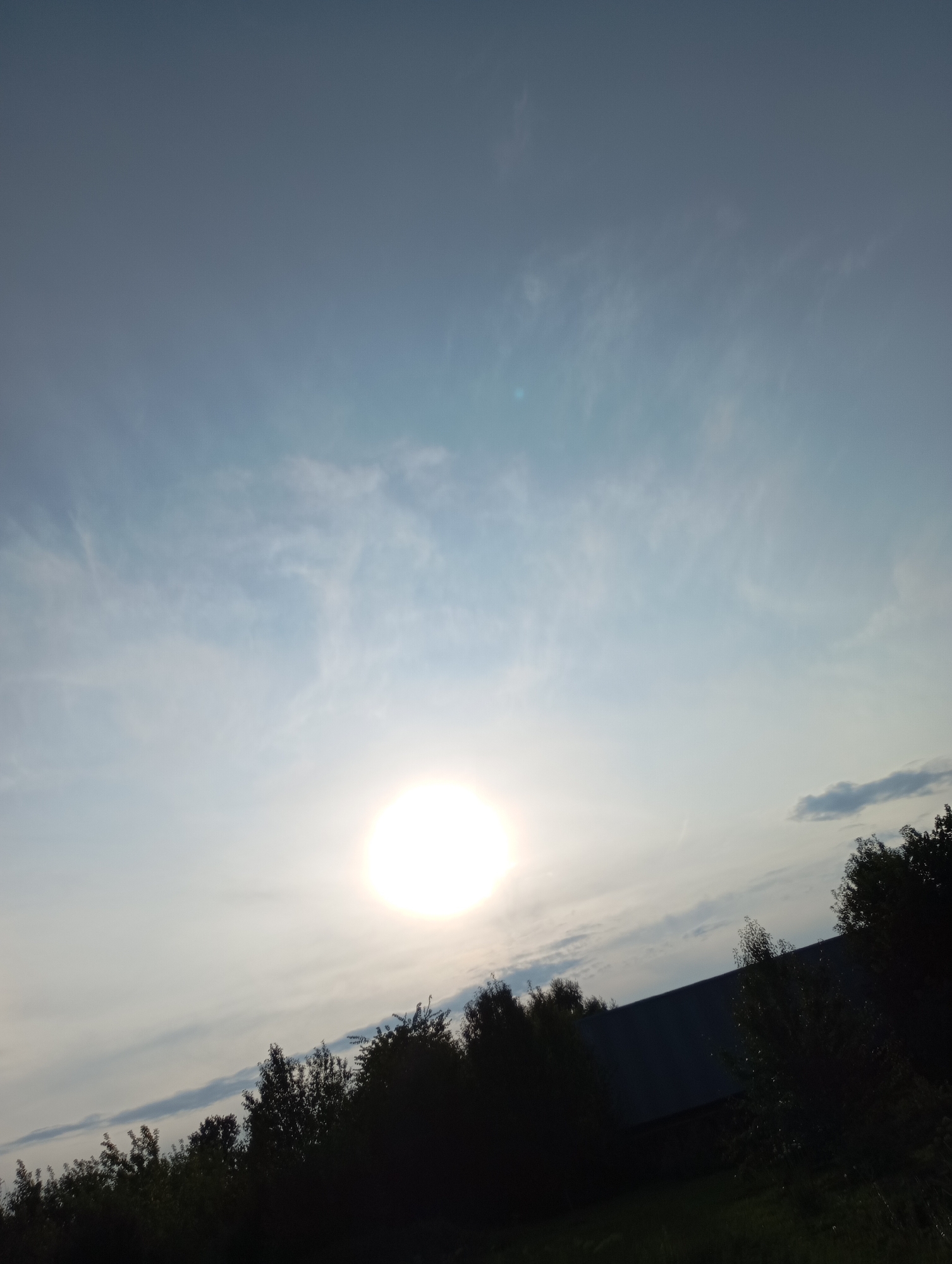 The image captures a wide-angle, slightly tilted outdoor scene during what appears to be sunset or sunrise. The sky dominates the upper portion of the frame, displaying a gradient of light blue with wispy white clouds. The sun, a brilliant, blown-out white circle, is prominently positioned in the lower-middle left of the sky. A dark silhouette of trees and a building with a sloped roof runs across the bottom third of the image, obscuring the ground. The trees are dense and varied in height, some appearing as tall, slender shapes, while others are broader. The building's roof is a dark, solid surface. The overall lighting suggests a time of day with low sun angle, casting the foreground elements into deep shadow. There are no people or animals visible in the image. The location is specified as Fokino, Russia, but the image itself does not contain any identifying landmarks that would confirm this specific location without prior knowledge.