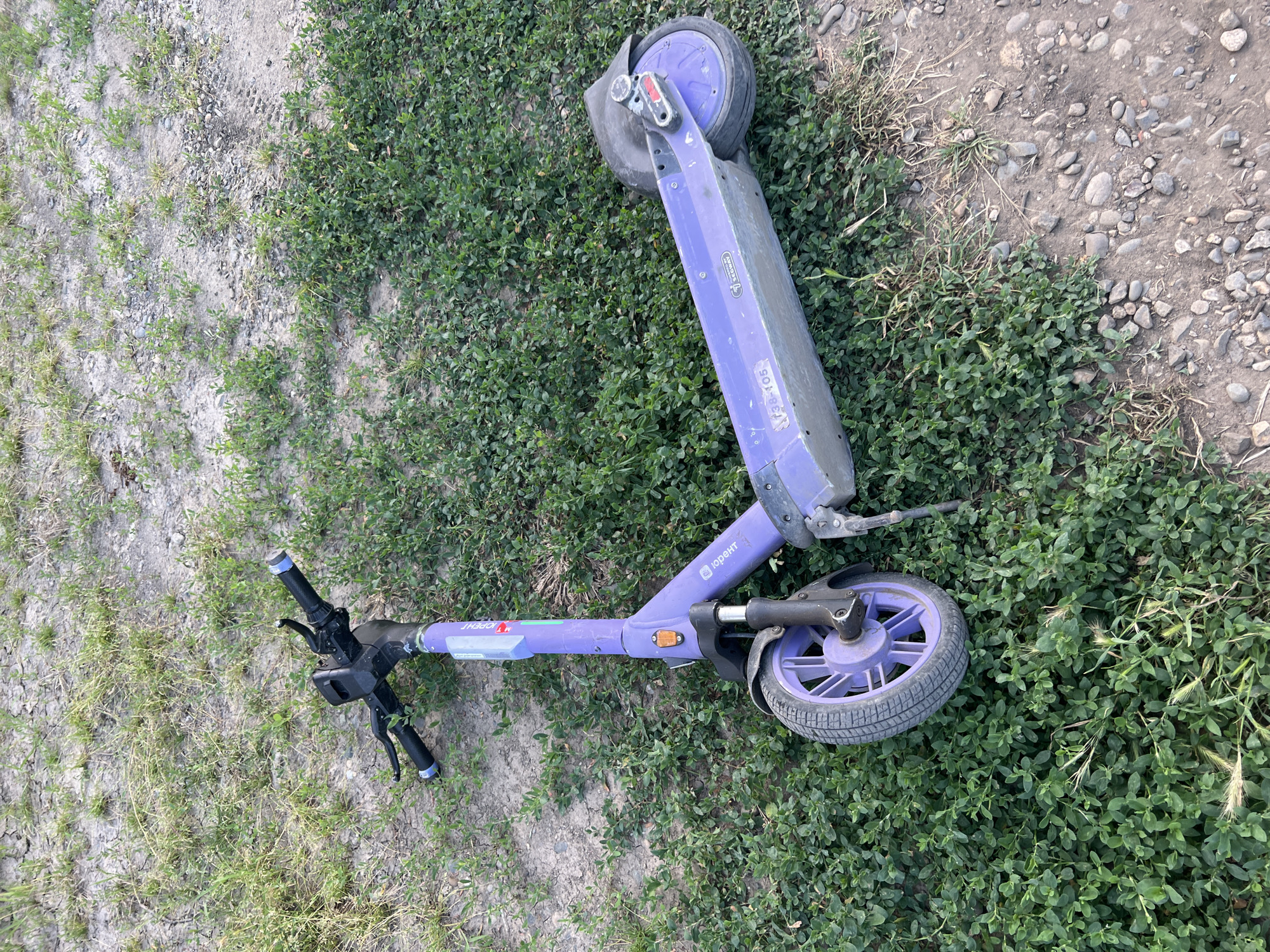 An abandoned purple electric scooter lies on its side in a patch of low-lying green vegetation next to a dirt path with small stones. The scooter's handlebars are at the top left, and the rear wheel is visible at the bottom right. The scooter has the Segway logo visible on its side. The surrounding area consists of dry, cracked dirt with sparse green grass. The image appears to be taken outdoors during daylight. There are no people visible in the image. The location is identified as Krasnodar, Russia.