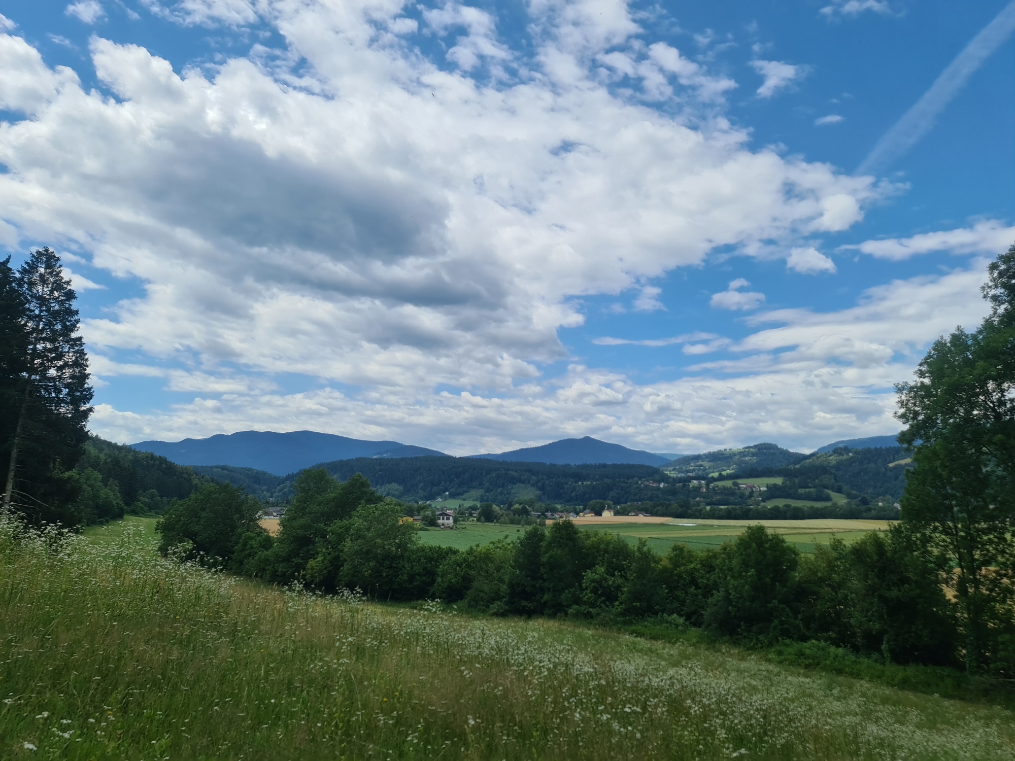 This is a landscape photograph taken from a slightly elevated position, looking out over a valley. In the foreground, a grassy field is filled with small white wildflowers. Beyond the field, a line of dense green trees forms a mid-ground. In the distance, rolling hills covered in more trees recede, culminating in dark blue mountain ranges. A few scattered buildings, indicative of a village or town, are visible nestled within the valley and on the hillsides. The sky is a vibrant blue, dotted with numerous white and grey clouds, some of which are large and dramatic. A thin, white contrail stretches diagonally across the upper right portion of the sky. The overall impression is of a serene, rural environment under a dynamic sky. The location is identified as Feldkirchen in Kärnten, Austria. There are no people or animals visible in the image, and no specific actions or interactions are depicted.