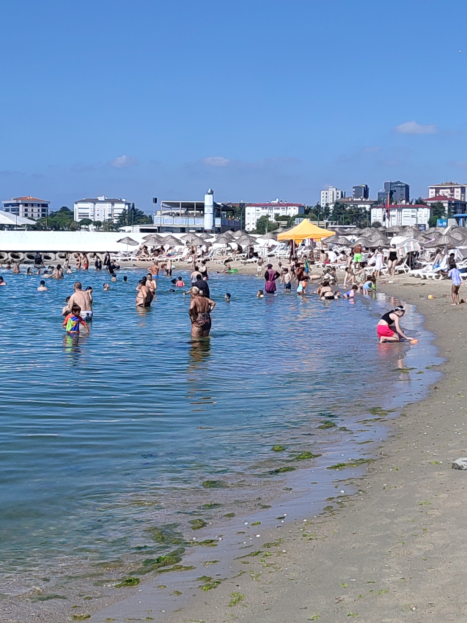 The image depicts a crowded beach scene in Kadıköy, Turkey, under a clear blue sky with scattered clouds. The foreground is dominated by the shallow, clear blue water, with numerous people wading and swimming. In the mid-ground, the sandy beach is lined with rows of lounge chairs and umbrellas, indicating a popular recreational area. Buildings, some with multiple stories, are visible in the background, suggesting an urban proximity to the beach.
Several individuals are clearly visible in the water. In the left mid-ground, a man is standing in the water, wearing swim trunks. To his right, a child in a brightly colored life vest is also in the water. Further to the right, a woman with dark hair is standing in the water, wearing a patterned swimsuit. On the right side of the image, a woman in a black top and pink shorts is kneeling on the wet sand at the water's edge, seemingly playing with a toy. In the background, a large group of people are spread across the beach, some sitting on chairs, others standing or walking. A yellow umbrella stands out among the beach umbrellas. The sea appears calm, with gentle ripples on the surface. Patches of green seaweed are visible along the shoreline. The overall atmosphere suggests a warm, sunny day, with many people enjoying the beach and the sea.