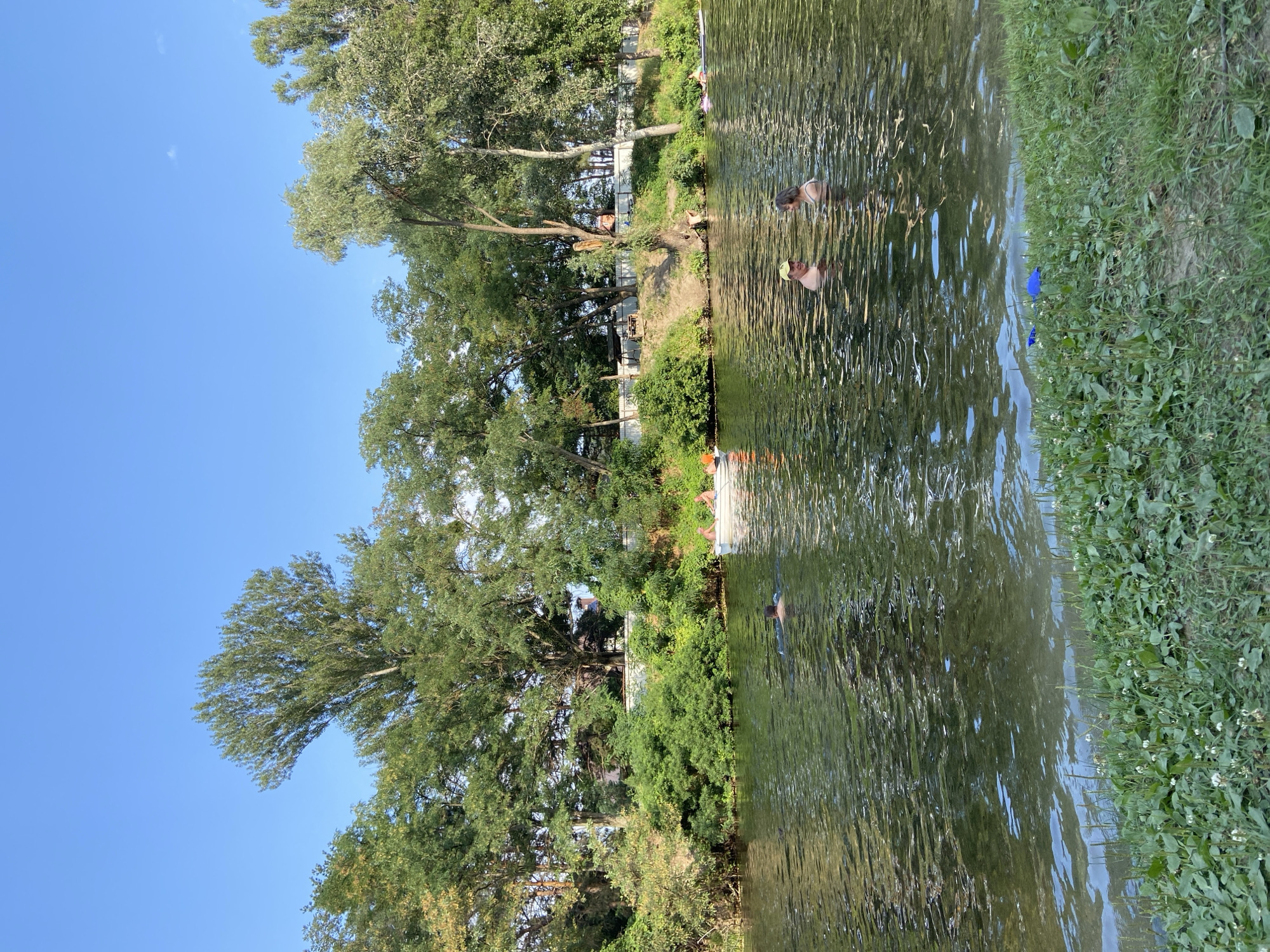 In Petrivka, Ukraine, on a bright, sunny day, several people are enjoying a body of water. In the foreground, the water is a murky green, with ripples on its surface. The shoreline on the right is covered in lush green grass and small white wildflowers.
Further out in the water, a group of individuals are swimming and interacting. Two people are standing waist-deep in the water, facing each other and appearing to converse. One person, wearing a yellow cap, looks towards the camera. Nearby, another person is swimming, with their back to the camera. Further to the left, a small white boat is visible, with several people inside. More people are scattered in the water, some swimming and others possibly relaxing.
The background is dominated by a dense line of mature green trees and various shrubs lining the bank. The sky above is a clear, vibrant blue, indicating fair weather.