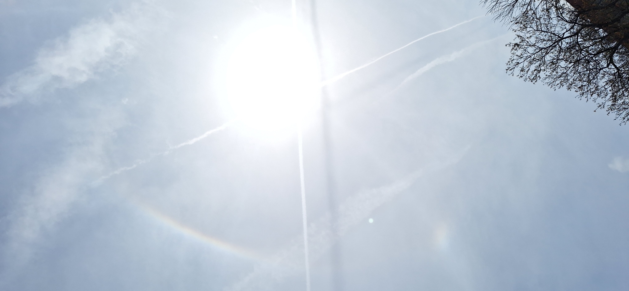 The image shows a daytime sky with a bright sun and a visible 22-degree halo. There are thin clouds and contrails in the sky. Bare tree branches are visible in the upper right corner. The location is suspected to be Blagoevgrad, Bulgaria, though no features confirm this location from the image. There are no people visible.