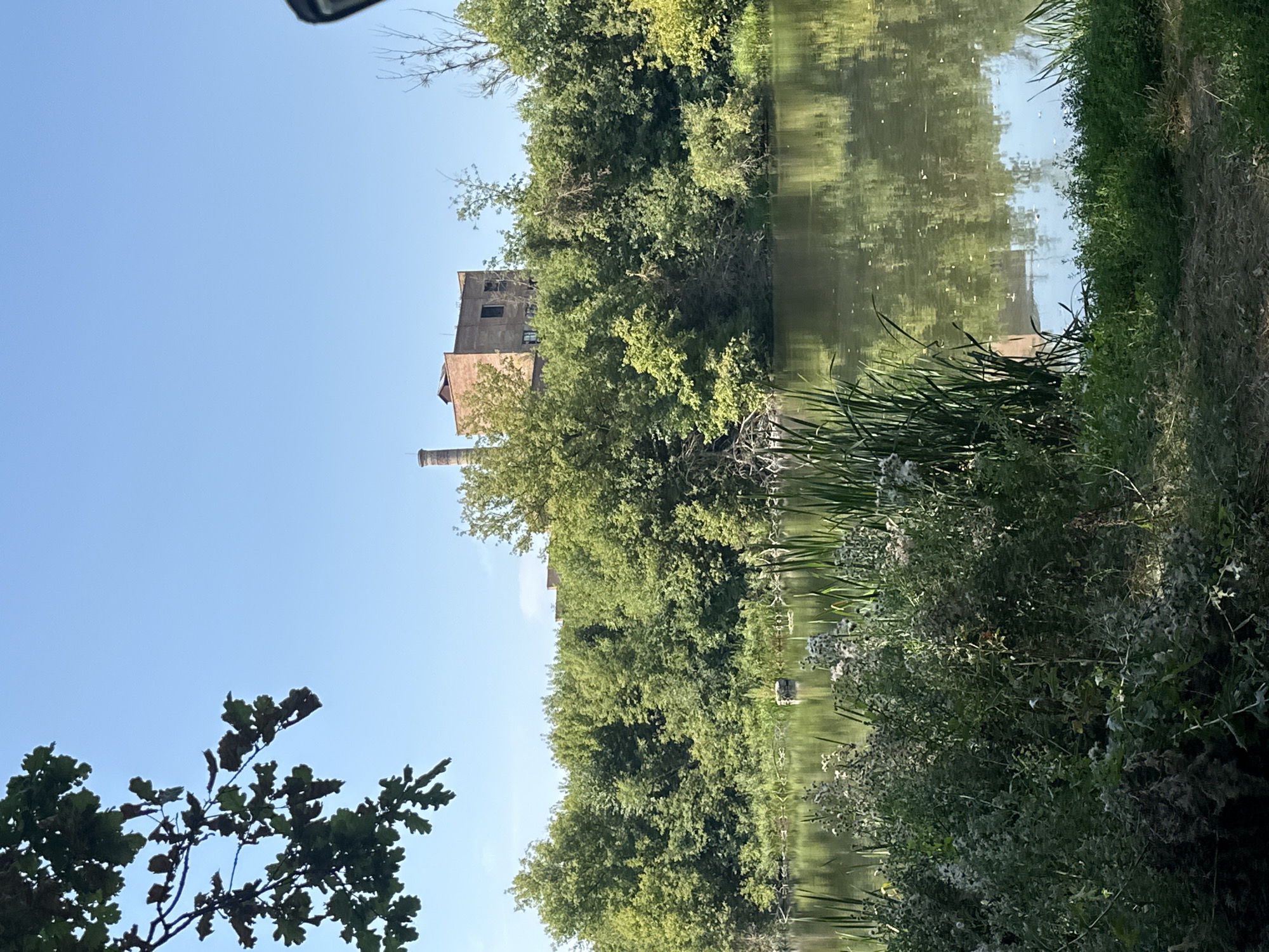 In Shatava, Ukraine, a serene body of water reflects the lush green trees and a clear blue sky. An old brick building with a tall chimney stands partially obscured by the dense foliage, hinting at a historical industrial presence. The foreground is dominated by a variety of plants, including tall reeds and wild flowers, adding a touch of untamed beauty to the scene.