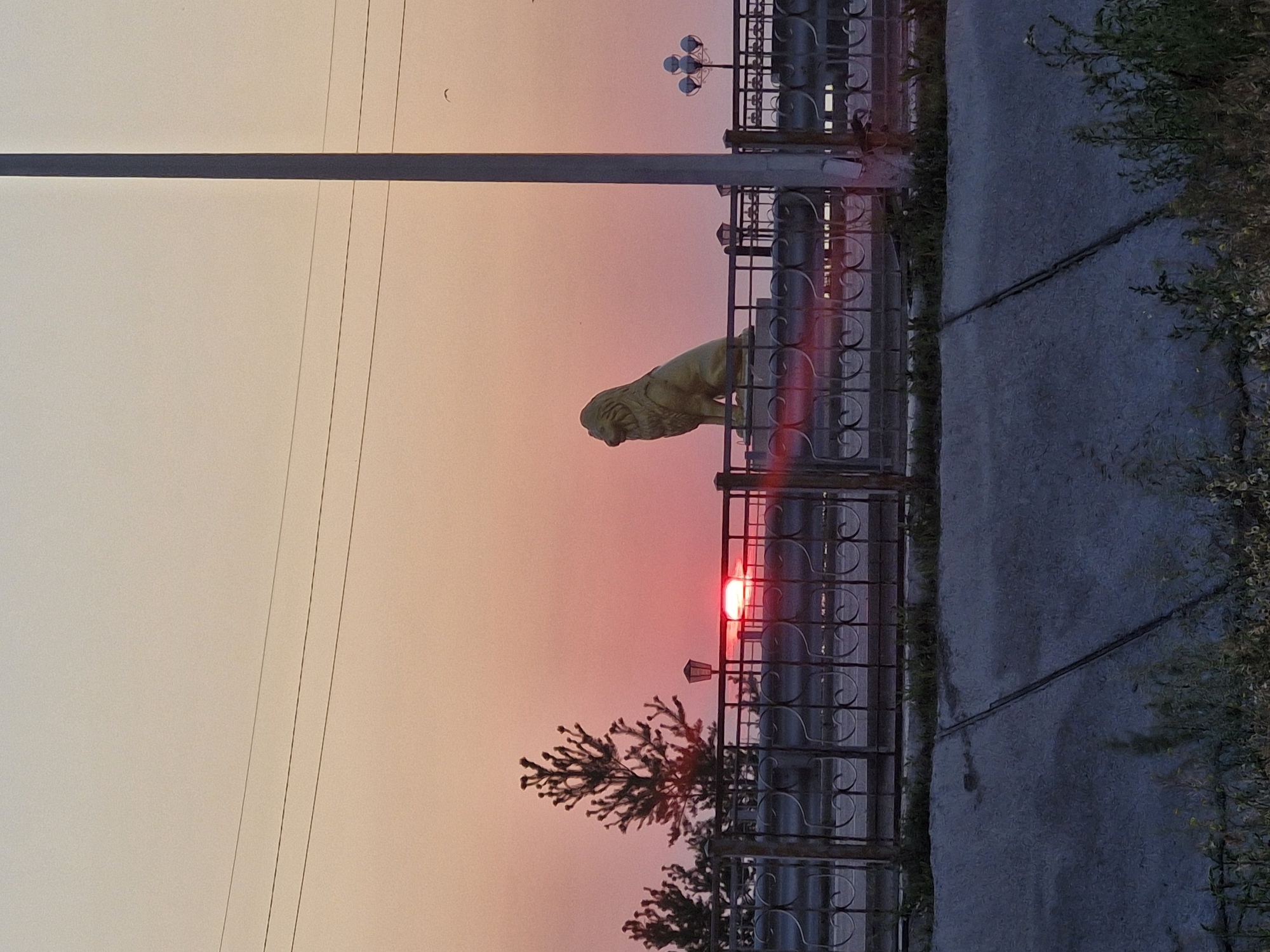 The image depicts a sunset in Kokshetau, Kazakhstan, featuring a decorative golden lion statue perched on a railing. The sun is partially obscured by the statue and a nearby tree, casting a warm glow across the sky. Several trees and lampposts are visible along the railing, which appears to be part of a bridge or promenade. Power lines are strung across the upper portion of the sky. In the foreground, a concrete structure with vegetation growing along its edges suggests a road or pathway. The overall scene is serene and bathed in the soft light of dusk.