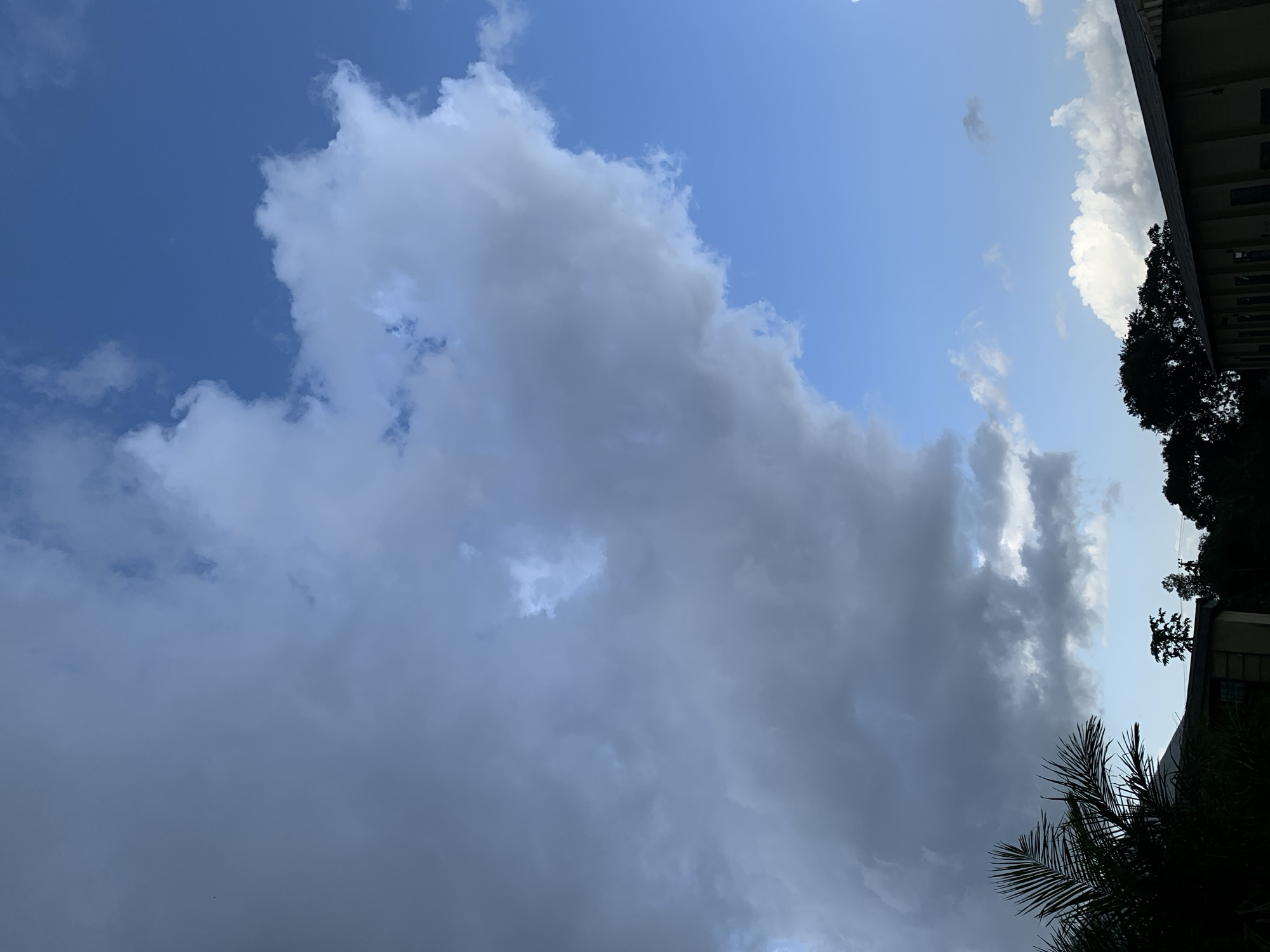 The image displays a dramatic sky over Kuru Karama, Nigeria, with a vast expanse of dark, ominous clouds dominating the left side of the frame, contrasted by patches of bright blue sky on the right. A large, billowing cumulus cloud formation is the central focus, appearing heavy and saturated with moisture, suggesting an impending downpour. In the foreground, silhouetted against the sky, are the dark shapes of palm fronds on the left, and the rooftops of buildings and dense foliage on the right, including what appears to be a long, low-lying structure with multiple windows. The overall impression is one of natural forces at play, with the dramatic cloudscape dominating the scene and hinting at the region's weather patterns.