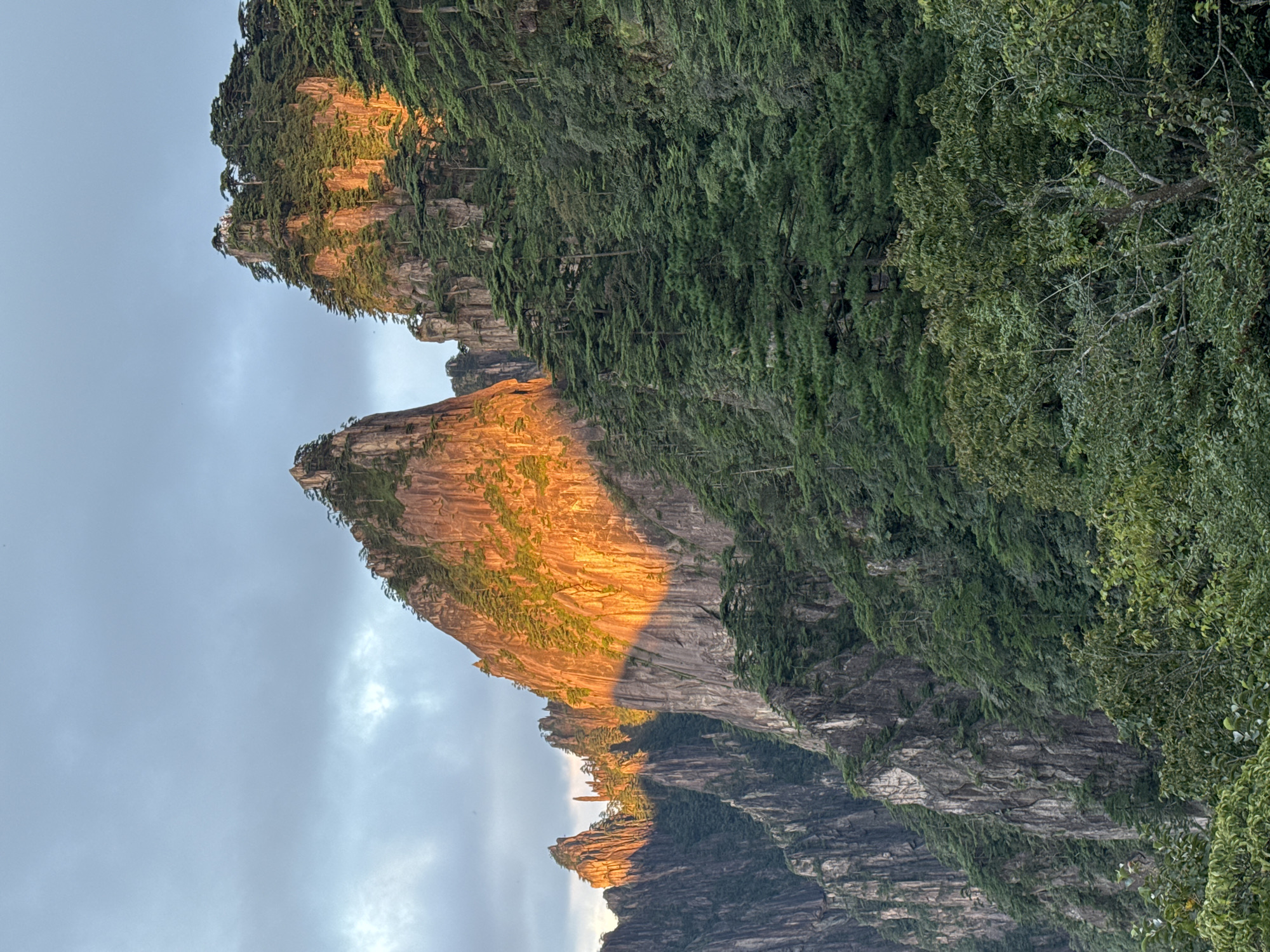 The image depicts the Huangshan Mountains, also known as Yellow Mountain, located in Huangshan District, Anhui Province, China. The scene is characterized by dramatic, sheer granite peaks, some of which are illuminated by the warm, golden light of the setting sun. These peaks are densely covered with lush green pine trees, characteristic of the region. The sky above is partly cloudy, with streaks of gray clouds contrasting with the illuminated mountain faces. The foreground is filled with the dense foliage of trees and other vegetation, suggesting a view from a higher vantage point. The overall impression is one of natural grandeur and serene beauty, amplified by the dramatic lighting conditions.