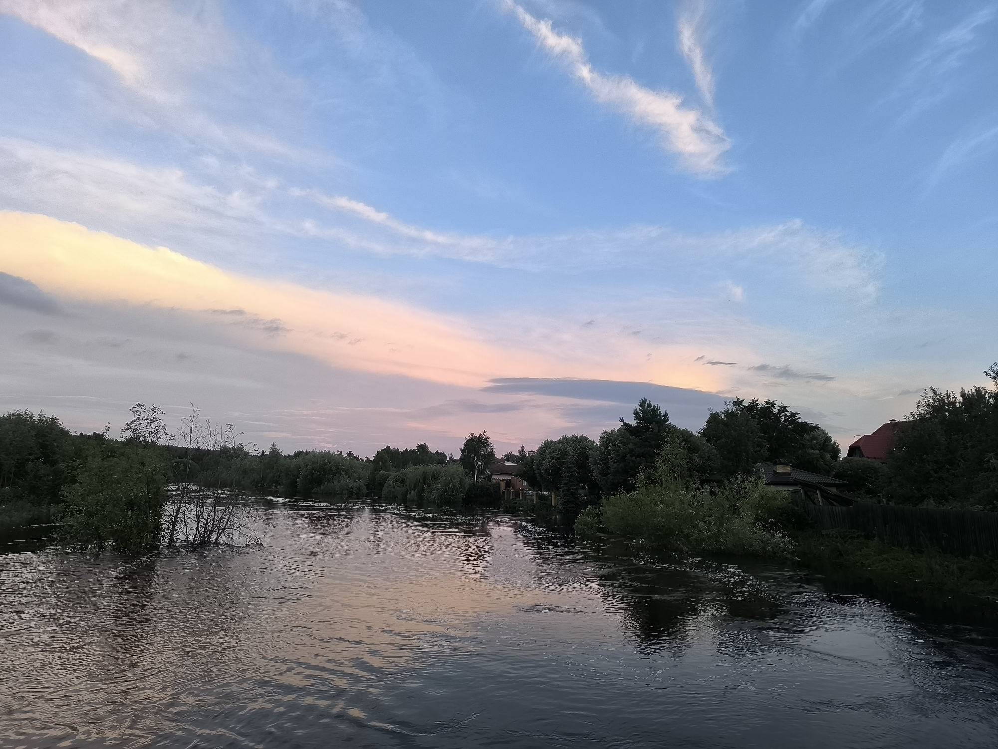 A wide, fast-flowing river dominates the foreground of this image, its surface rippling and reflecting the soft colors of the sky. Along the riverbanks, dense green foliage and trees create a natural border, with some vegetation submerged in the water. In the background, a few small buildings and houses are nestled amongst the trees, suggesting a rural or semi-rural settlement. The sky above is a gradient of pale blue and soft pinks and yellows, with wispy clouds streaking across it, indicating either sunrise or sunset. The scene appears to be of the Kashinka River in the village of Kashino, Russia, during a high water period. There are no people or animals visible in the frame.
