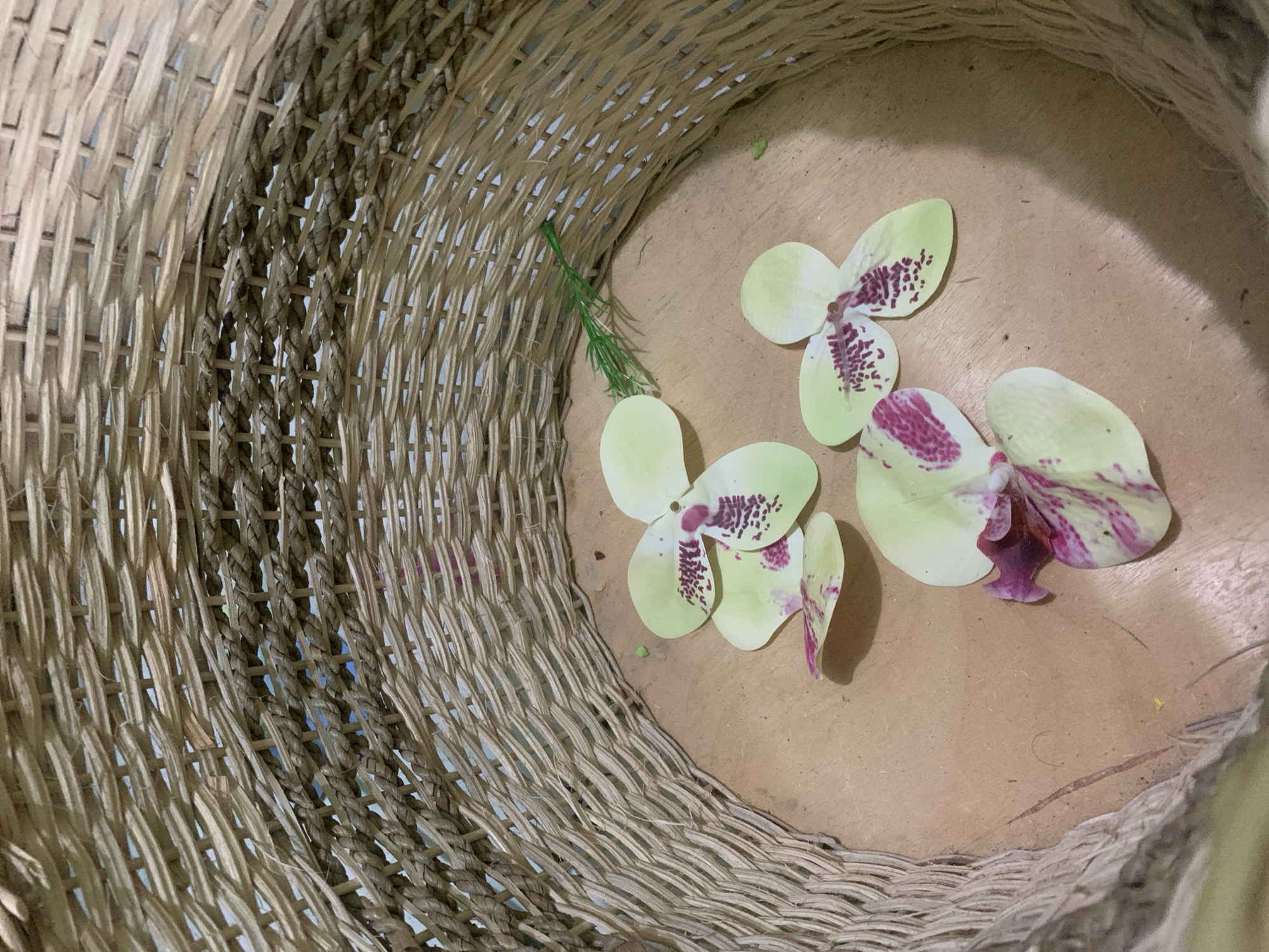 This image shows the inside of a woven basket, which appears to be made of natural fibers. The basket is large and has a thick, textured weave. Inside the basket, there are several light green orchid petals with purple markings scattered on a light brown, wooden surface. One petal has a small green sprig tied to it with green twine. The scene is lit from above, casting shadows from the orchid petals onto the wooden surface. The location of this basket in Kuala Pembuang, Indonesia, is not visually evident from the image.