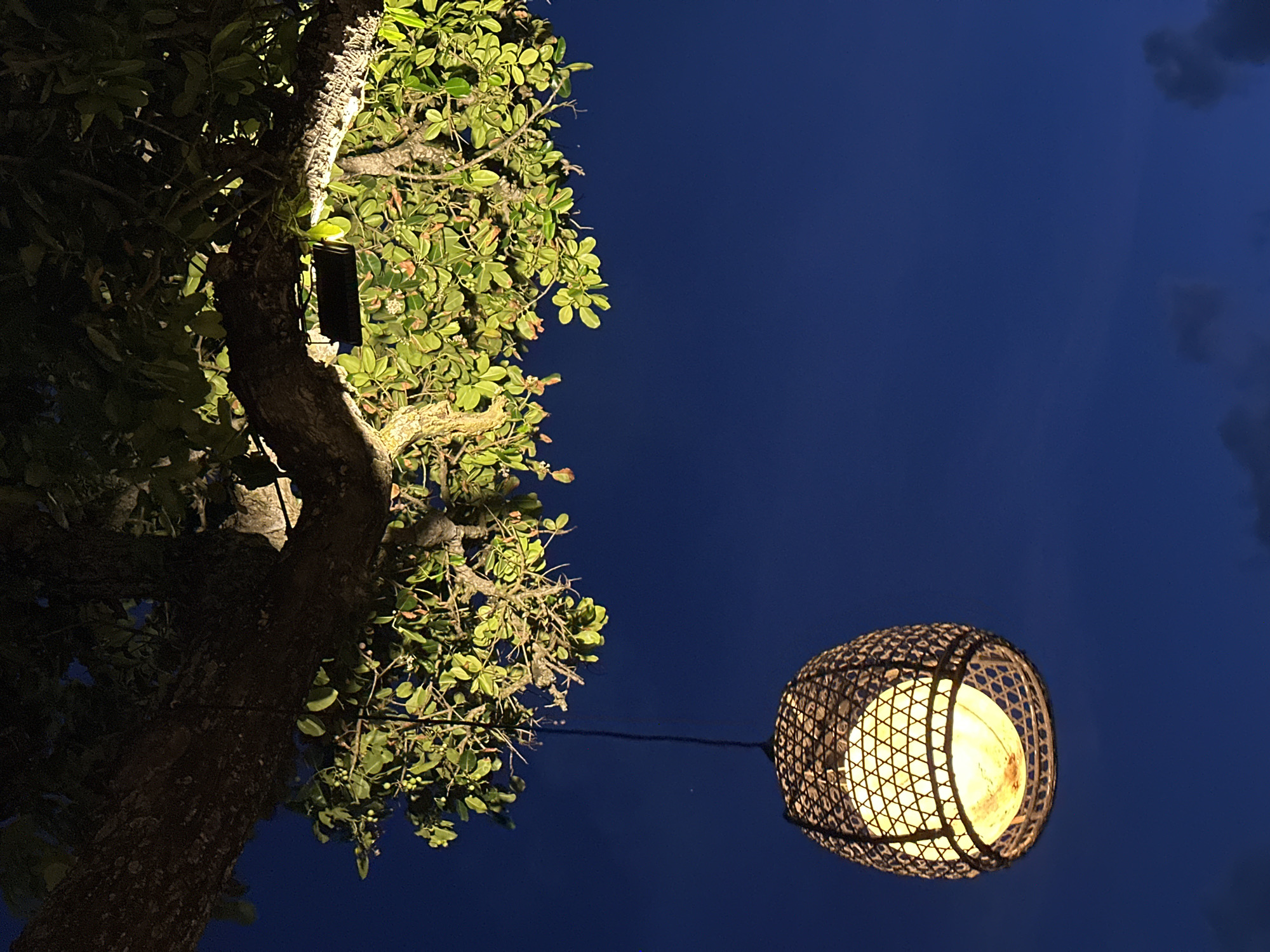 An outdoor, low-angle shot captures a tree and a hanging lantern against a dark blue night sky in North Kuta, Indonesia. The tree, filling the left side of the frame, features a textured trunk and branches adorned with green foliage, illuminated by an artificial light source that casts bright highlights and deep shadows. A small, dark, rectangular object, possibly a light fixture or device, is partially visible on the tree trunk among the leaves.
Extending from the tree and curving horizontally towards the right is a dark cable, suspending a spherical lantern. The lantern is crafted from woven material, likely rattan or wicker, with a visible patterned structure. Inside, a warm yellow light source emits a soft glow, making the intricate weaving stand out. The sky, a deep indigo, occupies the upper right portion of the image, with faint, dark clouds discernible near the top right corner, suggesting a clear but dark night. The scene evokes a tranquil evening ambiance, highlighted by the contrast between the illuminated tree and lantern against the natural darkness. No text is visible.