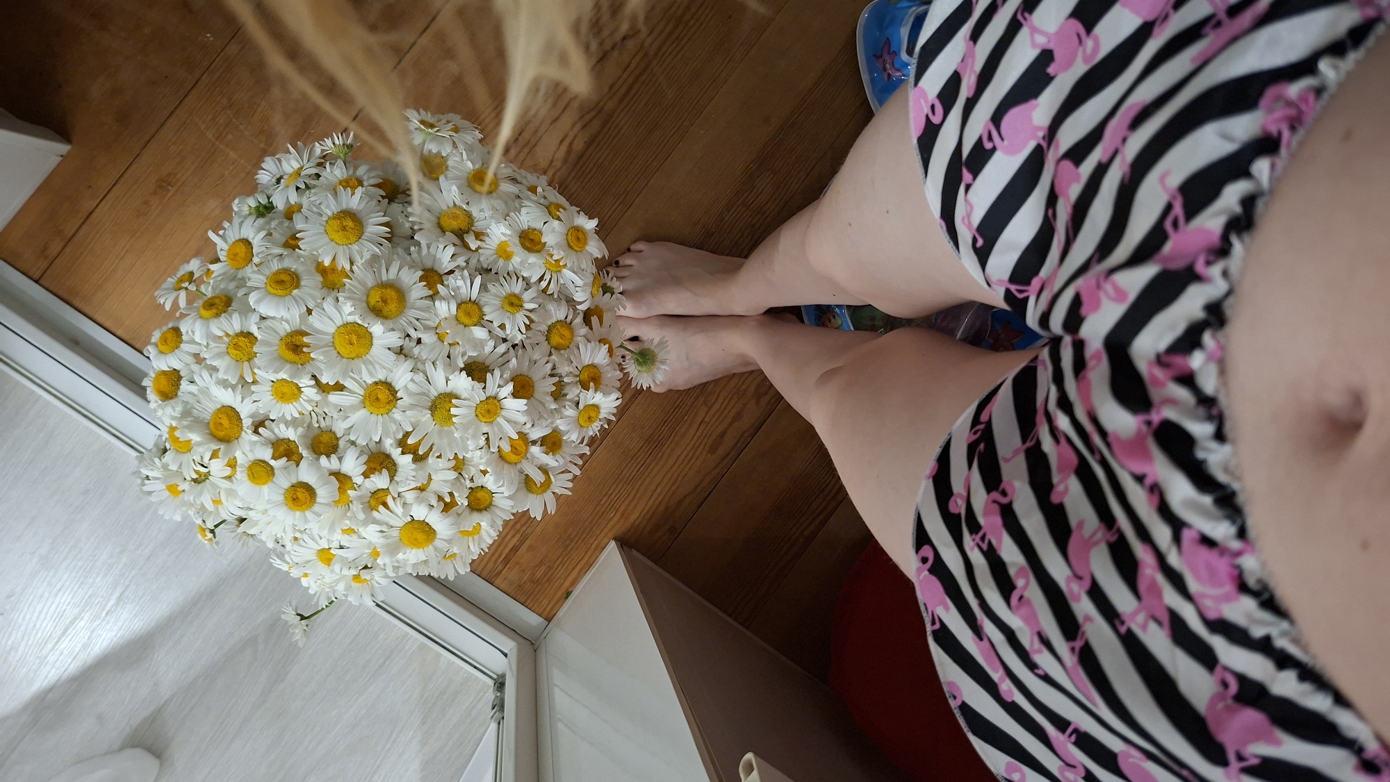 The image shows a top-down view of a bouquet of daisies on a wooden floor, with a person's bare feet and legs in the foreground. The person is wearing black and white striped shorts with pink flamingo patterns. One of the daisies is placed on the person's right foot. The scene appears to be indoors, possibly on a balcony or near a window, given the presence of a white structure and flooring that resembles a deck or laminate. The overall impression is casual and summery. The image was taken in Chaikovsky, Russia.