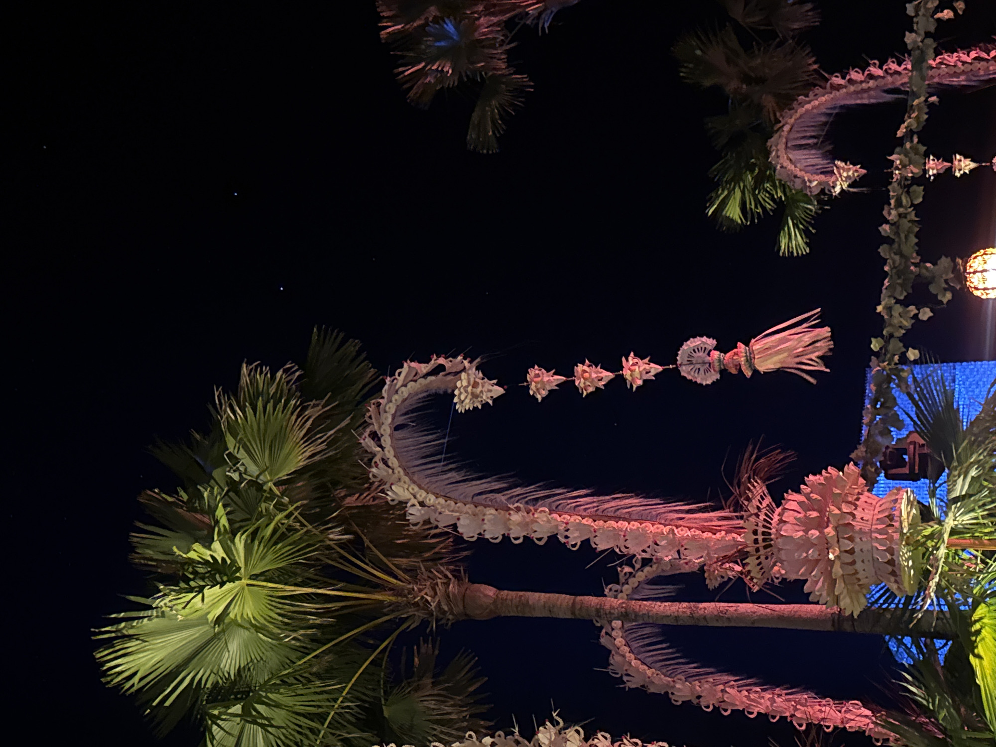 This nighttime photograph captures an elaborate festive scene set against a dark sky, likely in a tropical location such as Kuta Selatan, Indonesia. The primary subjects are several tall palm trees and intricate decorative garlands strung between them.
The palm trees, with their large, fan-shaped fronds, are illuminated from below and the sides, casting vibrant green and subtle reddish hues on their foliage and trunks. Dominating the central and right portions of the image are ornate, suspended decorations. These appear to be handcrafted from natural materials, possibly woven palm fronds or dried leaves, forming long, curvilinear chains and individual ornamental elements. The decorations exhibit a pale, almost white or light pinkish color, likely due to specific lighting. They form graceful arcs, resembling large, embellished curves, and feature spherical, tasseled, and textured components along their length.
A single round, illuminated lantern with a patterned shade is visible on the far right, adding a warm glow to the scene. In the background, indistinct blue lights suggest additional structures or lighting beyond the immediate festive display. The sky is very dark, indicating nighttime, with a few faint, tiny white points of light visible in the upper left, possibly distant stars or small lights. No people are visible, and there is no discernible text in the image. The overall impression is one of a vibrant cultural celebration or significant event taking place in an outdoor setting at night.