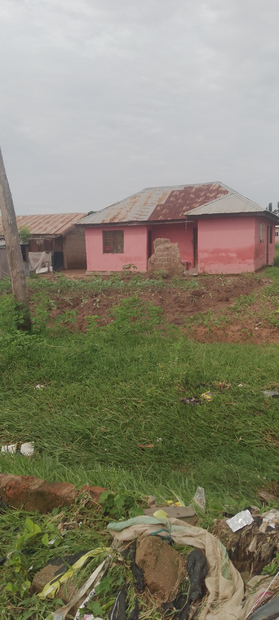 The image shows a pink, single-story house with a corrugated metal roof that is in a state of disrepair, with visible rust. The house appears to be situated in a rural or semi-rural setting, with a dirt ground surrounding it. There is vegetation in the foreground, some of which appears to be crops, and the ground is uneven. Some debris, including plastic bags and what looks like a piece of brick, is scattered in the grass in the foreground. To the left of the pink house, there is another structure with a similar corrugated roof, possibly an extension or a separate building. The sky is overcast, suggesting a cloudy or potentially rainy day. There is a wooden pole on the left side of the image, and a pile of what looks like mud bricks or construction material leaning against the pink house. The overall scene conveys a sense of simplicity and perhaps neglect, with no people visible in the frame. The location is identified as Jalingo, Nigeria.