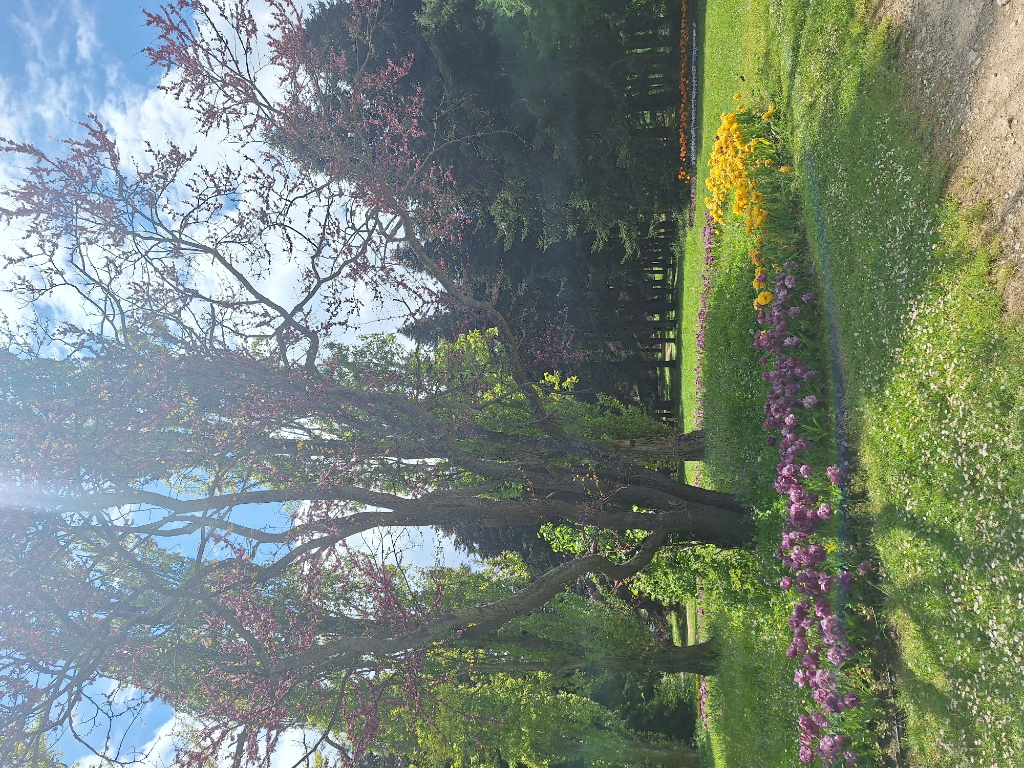 The image shows a park landscape, likely in Varna, Bulgaria, given the request. A dirt path borders a grassy area. A line of purple and yellow flowers separates the path from a forested area in the background. Trees with red blossoms are visible on the left side of the frame, reaching towards a blue sky with clouds. There is a rainbow on the ground in the grassy area.