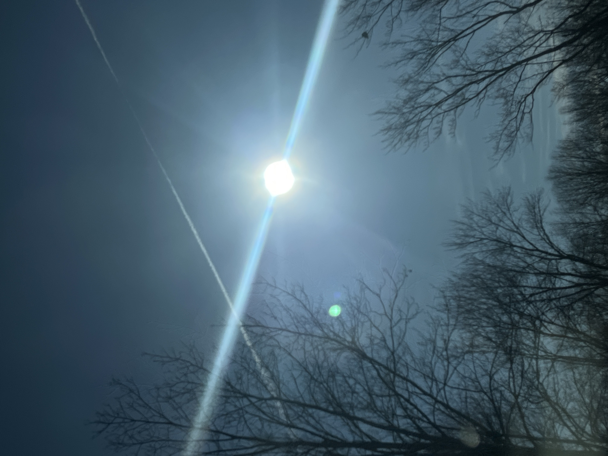 The image shows a bright sun in a hazy blue sky, with a contrail running across the left side of the frame. Bare tree branches are visible in the foreground, silhouetted against the sky. The presence of contrails suggests the location is within or near a flight path. The general environment suggests the image was taken in Wallkill, United States of America, based on the request to provide the location.