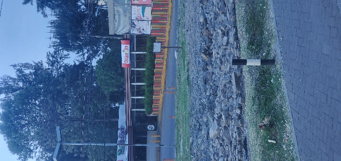 An outdoor scene features a "Chicken Inn" sign, partly obscured by trees, alongside other storefront signs. A brightly colored yellow and orange barricade runs adjacent to a road, with a sidewalk visible. Beyond the sidewalk, a rocky, gravelly area transitions into a paved road. A black and white pole is positioned along the road's edge. The overall lighting suggests an early morning or late afternoon setting.