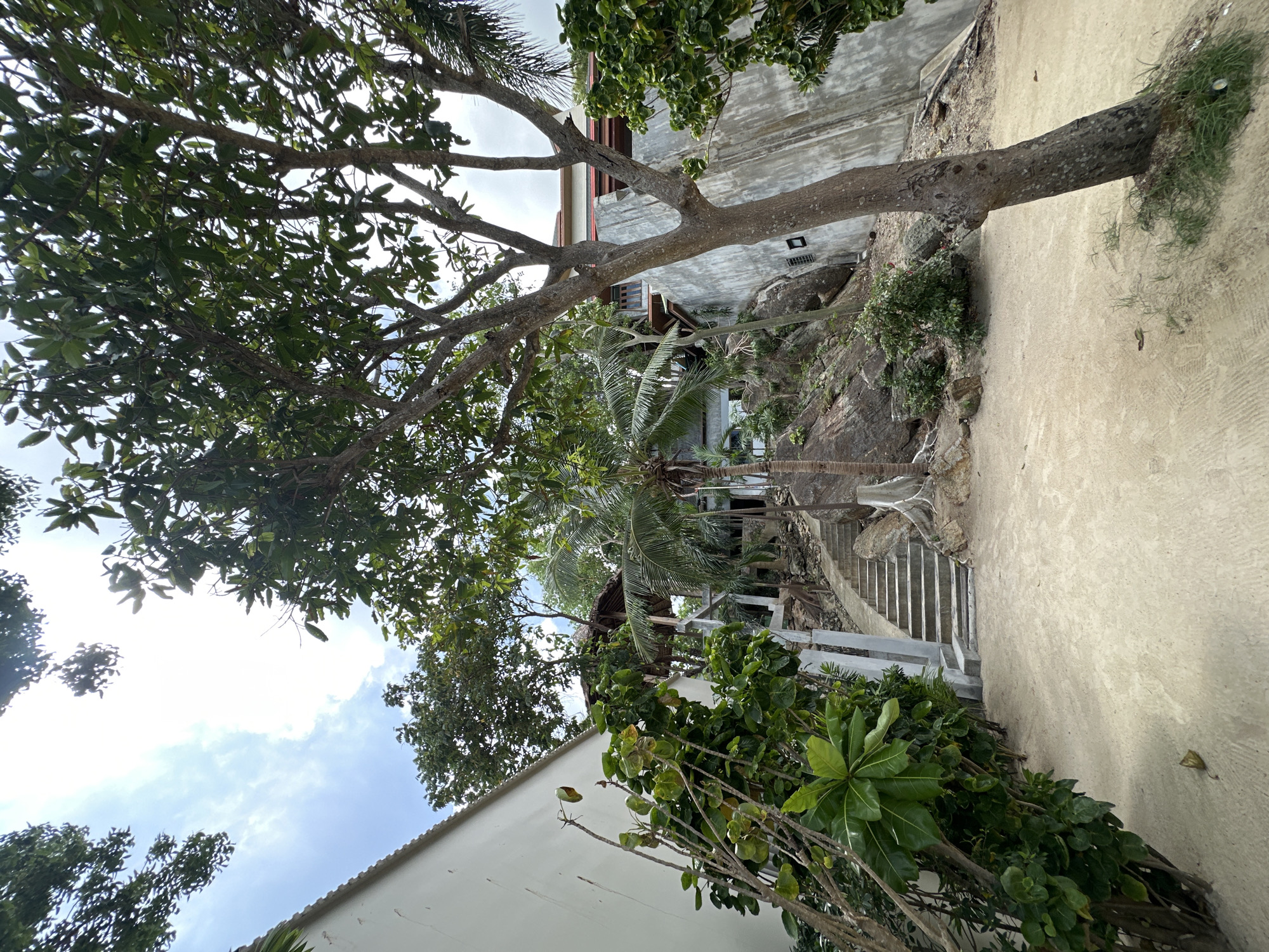 The image depicts an outdoor scene with a sandy ground leading to a set of concrete stairs ascending a rocky incline. Lush green vegetation is visible on either side of the path and stairs. A large tree with a rough bark trunk and spreading branches dominates the foreground on the right side of the frame, with its leaves partially obscuring the sky. In the background, a white building with a textured surface is visible on the left, and a structure with a thatched roof is perched on the incline. The environment appears to be a tropical location, possibly a resort or residential area, given the combination of natural elements and man-made structures. The sky above is partly cloudy with patches of bright sunlight.