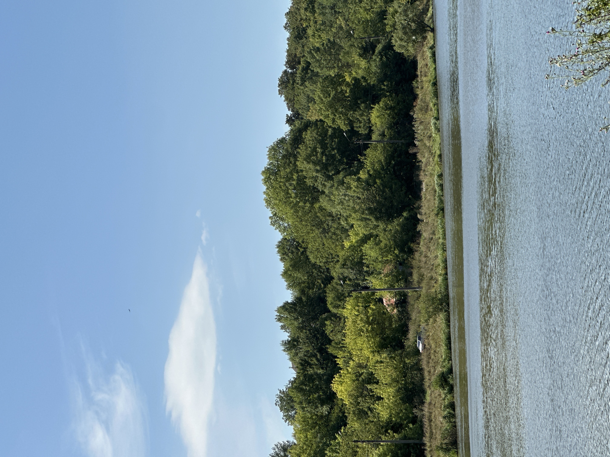 This is a horizontal, eye-level, medium-distance shot of a body of water. In the foreground, the water is rippled and reflects the sky. The middle ground features a grassy embankment lined with trees. A small, light-colored car is parked on the embankment amidst the grass and bushes. The background is dominated by a dense line of green trees. The sky above is a clear blue with a few wispy white clouds and a small dark bird in flight. The scene appears to be a natural landscape, likely a park or riverside area, in or near the city of Makiv, Ukraine.