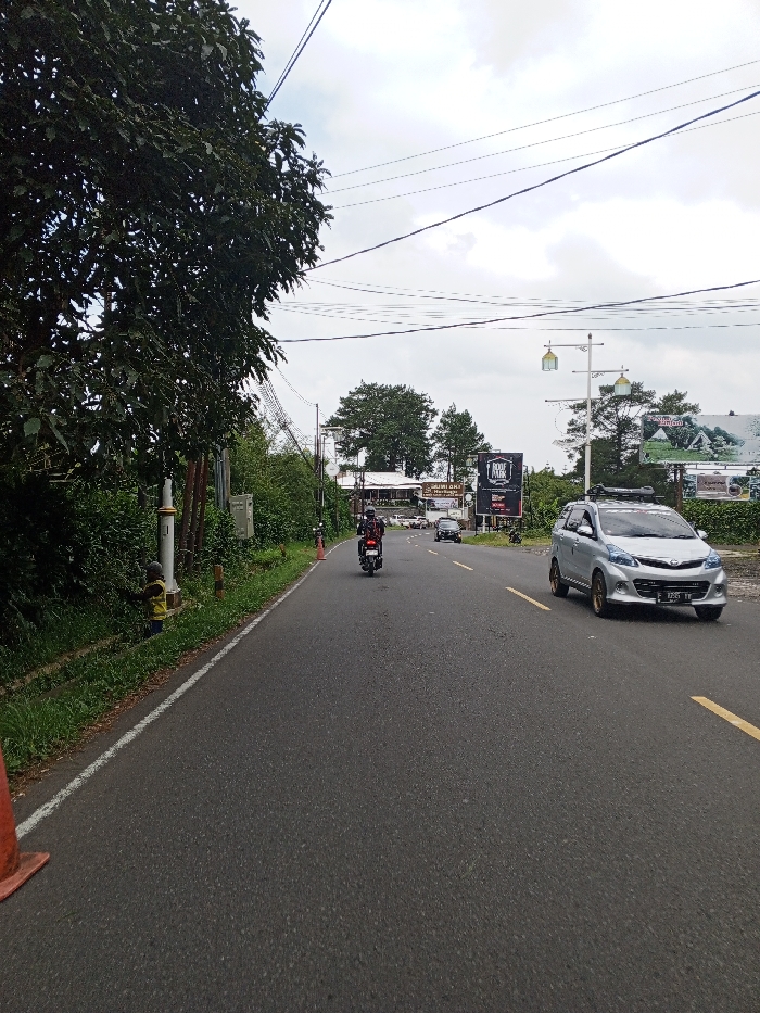 This image depicts an asphalt road scene in Ciloto, Indonesia, under an overcast sky. The view is from a low angle, looking down the road as it curves slightly rightward into the distance.
On the immediate left, an orange traffic cone is partially visible. The road edge is marked by a white solid line, beyond which is a grassy shoulder and dense green foliage. A person in a yellow shirt is partially visible behind these bushes, standing near a light-colored utility pole with horizontal bands. Overhead, multiple black utility wires stretch across the sky.
The two-lane road features a yellow solid line separating the lanes further down. A silver Toyota Avanza, with license plate B 2551 TV and a black roof rack, occupies the right lane, moving away from the viewer. Ahead of it in the left lane, a person wearing a dark helmet and jacket rides a dark motorcycle, also moving away. In the distant background, several other vehicles are visible near a cluster of buildings.
On the right side of the road, a modern lamppost with two ornate light fixtures stands. Beyond it, a large vertical billboard displays "NOOT PROK" and another billboard features an image of a house. Further back, various buildings, including one with "SARAS DEWI" and "MIE SARAWAK" visible, are nestled among trees resembling pines. The distant horizon is obscured by haze under the cloudy sky.