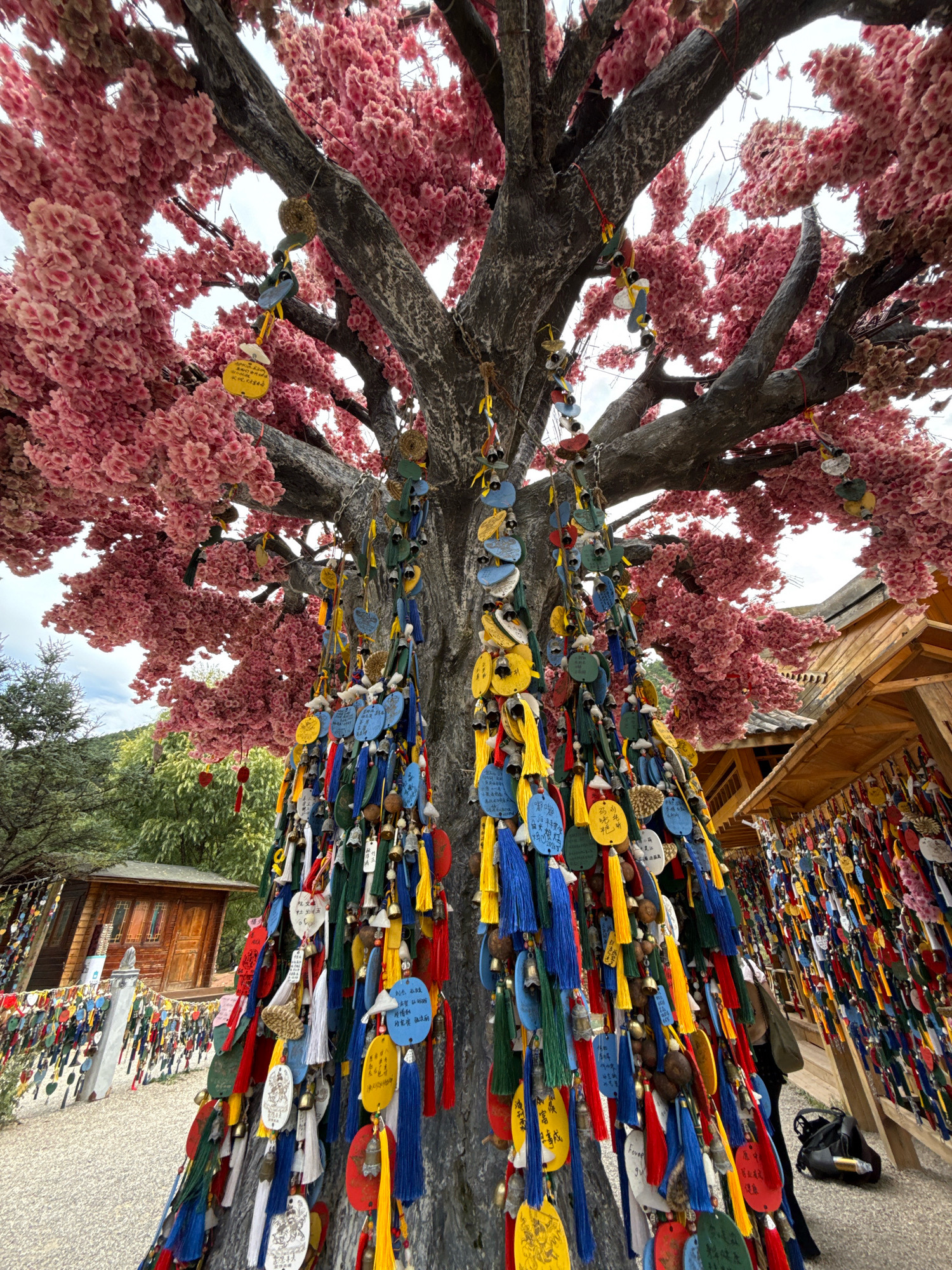 A wide-angle, low-angle shot captures a large tree adorned with numerous colorful prayer plaques and tassels in Yulong Nakhi Autonomous County, China. The tree's branches are covered in artificial pink blossoms, resembling a cherry blossom tree. The prayer plaques, made of various materials including wood and metal, are circular, oval, and heart-shaped, inscribed with Chinese characters. They are hung with colorful tassels in shades of blue, red, yellow, and green, as well as small bells.
In the background, to the left, a small wooden building with a pitched roof is visible, also decorated with prayer plaques. To the right, a wooden structure with a similar roofline extends along the side of the path, densely covered with more prayer plaques and colorful strings. A person, partially obscured, is walking in the background near the wooden structure, and a black backpack rests on the ground. The ground is covered with gravel and a pathway. The sky above is overcast.
