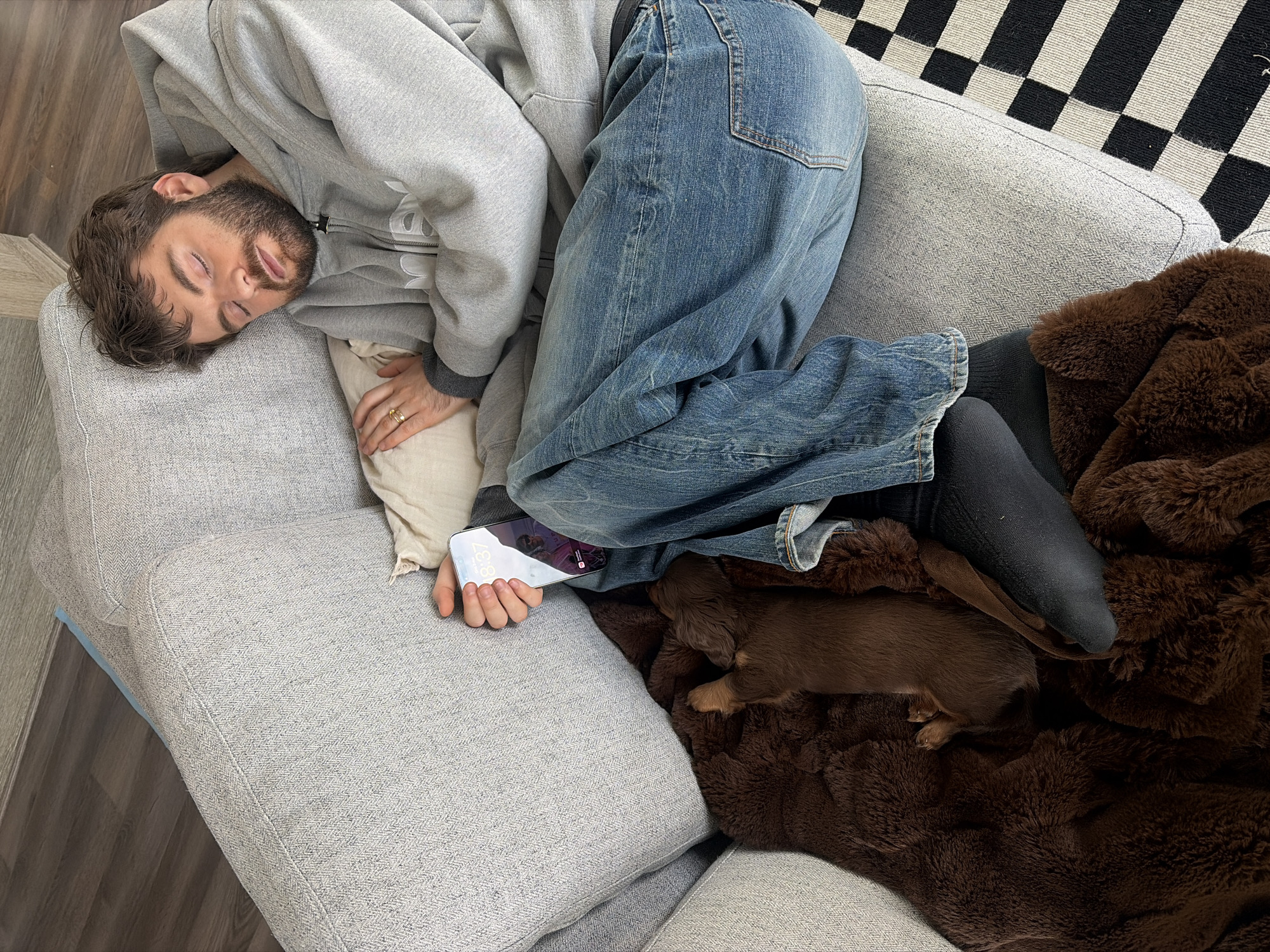 A man is asleep on a gray sofa. He is wearing a gray hoodie and blue jeans. He is lying on his left side, with his eyes closed. His left hand is holding a cell phone. A small brown dachshund puppy is lying on a brown, fur-like throw blanket next to the man's legs. The sofa is partially covered with the brown blanket. A black and white checkerboard rug is visible in the background. The image was taken indoors. The scene does not provide any details that would allow the precise location within the city of Montreal, Canada to be identified.