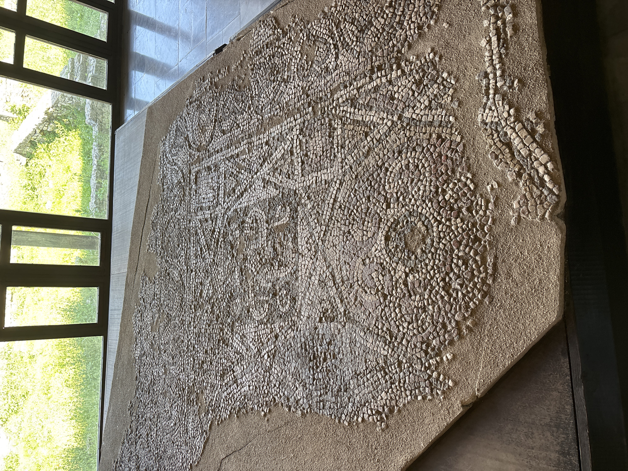 The image displays a large, ancient mosaic exhibited indoors, characteristic of an archaeological museum or historical site in Devnya, Bulgaria. The mosaic features intricate patterns composed of numerous small, irregularly shaped tesserae in various shades of off-white, beige, and light brown, embedded in a sand-colored mortar. Parts of the mosaic are damaged, with areas where the tesserae are missing, revealing the underlying base. The patterns appear to be geometric, with interlocking shapes and possibly stylized floral or abstract designs.
On the left side of the frame, a tall, multi-paned window with dark framing offers a view outside. Through the window, lush green foliage and parts of an ancient stone structure or wall are brightly illuminated by what appears to be direct sunlight. This suggests a clear, sunny daytime setting. To the right of the window, a light-colored, possibly tiled or textured wall catches some of the ambient light, with subtle shadows visible. The mosaic is presented on a dark, flat display surface or platform.
No people are visible in the photograph, and there is no discernible text on the mosaic itself or in the surrounding display. The scene emphasizes the historical significance and careful preservation of the ancient artifact within a controlled environment.