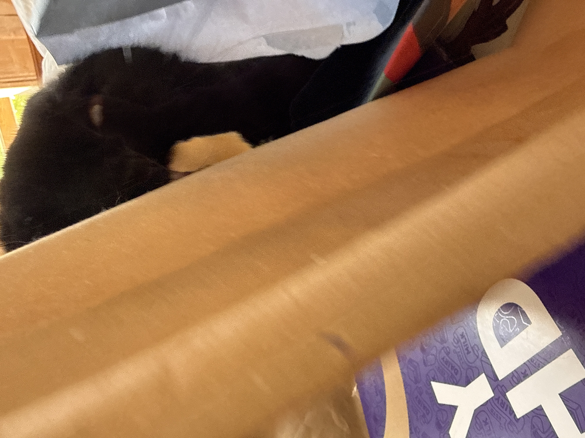 A black cat is nestled in a brown paper bag, with part of a purple and white package visible at the bottom. The background includes glimpses of an interior, possibly a room with wooden furniture.