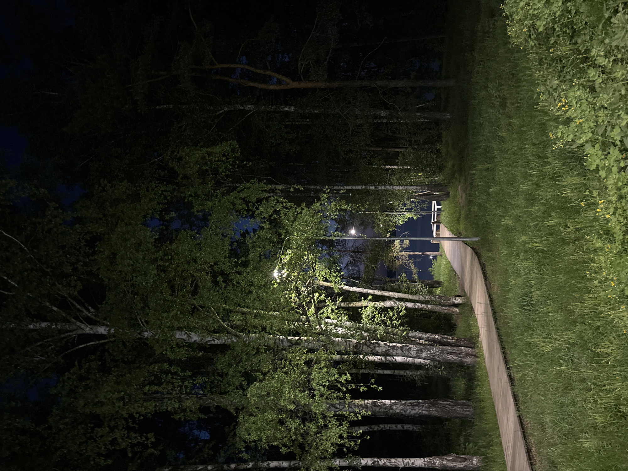 At night in Chaikovsky, Russia, a lit path cuts through trees and grassy terrain. The path is to the right of a row of birch trees illuminated by a streetlamp. The left side of the image is obscured by shadow. The grassy terrain borders the path. Further down the path, a street lamp illuminates the scene. The sky is dark, almost black, above the trees.