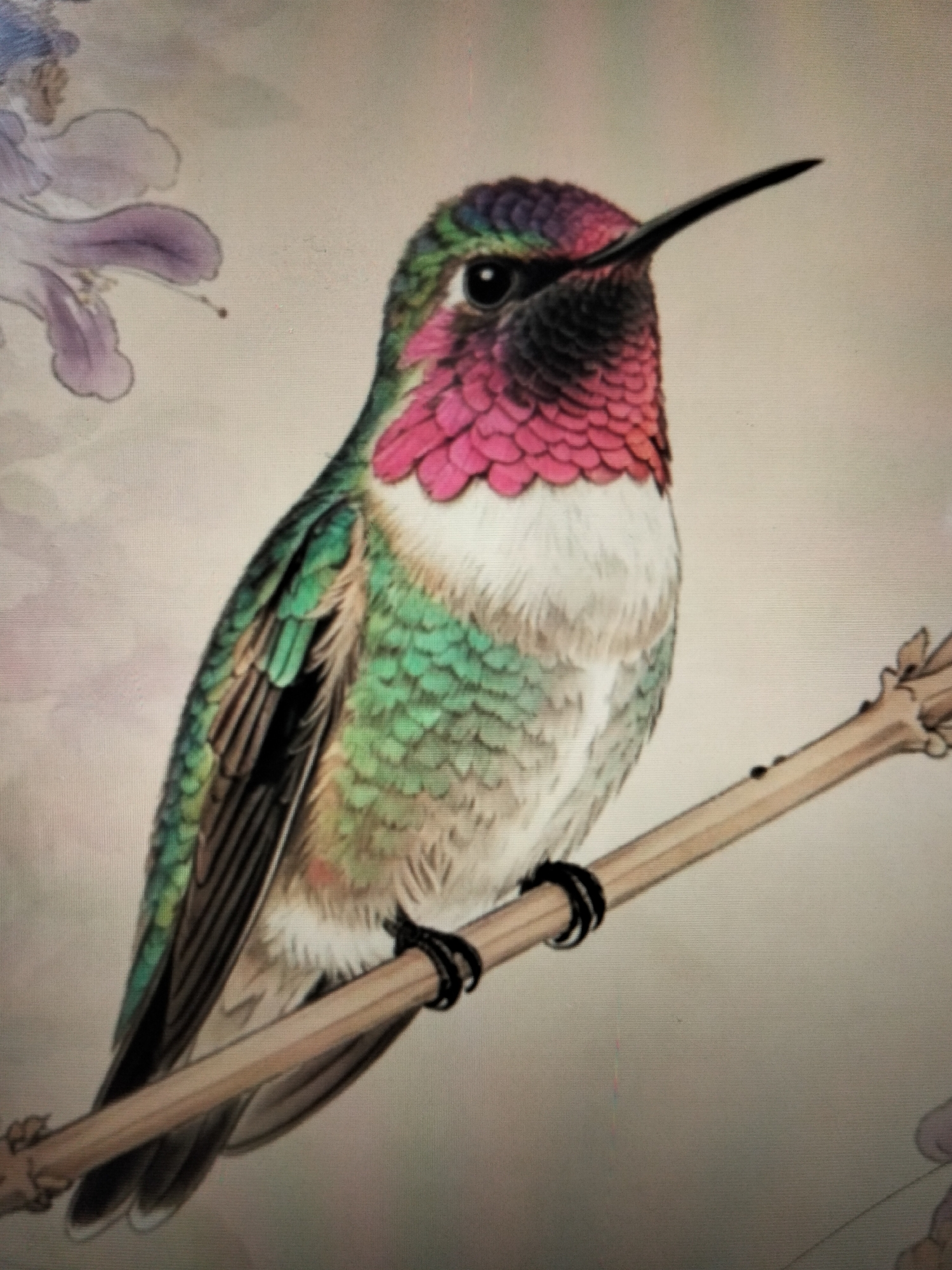 This is a detailed, digitally rendered image of a hummingbird perched on a thin branch. The hummingbird has iridescent feathers, with a vibrant pink gorget, a green back and wings, and a white chest. Its beak is long and pointed, and its eye is a dark, glossy black. In the background, a soft focus depiction of purple flowers can be seen on the left side. The background itself is a neutral, muted tone, suggesting an artistic or illustrative style rather than a photographic one. There is no indication or information in the image that relates to the city of Payagaboh, Indonesia, or any urban environment.