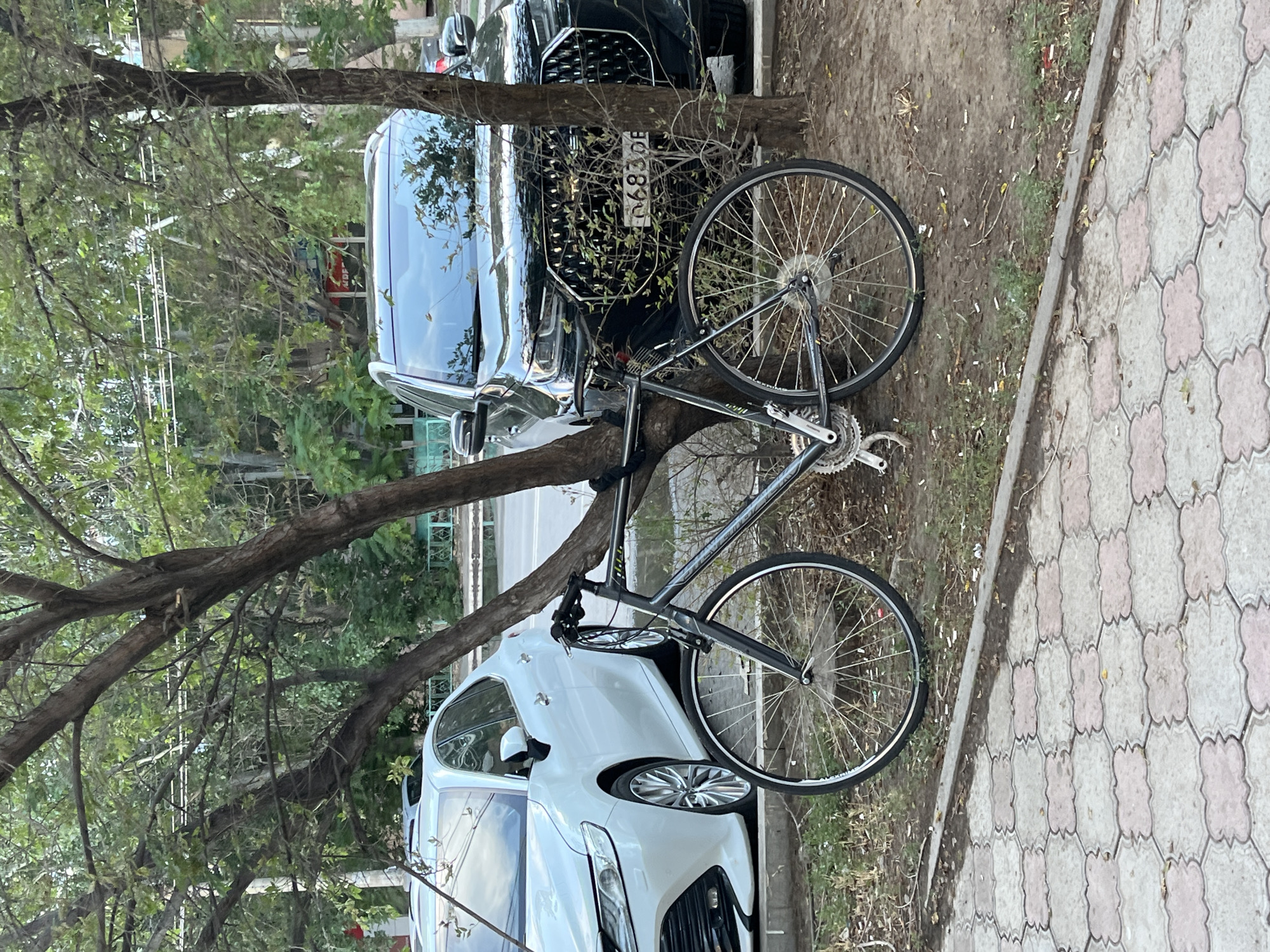 A black road bicycle is propped against a tree trunk, its wheels resting on the ground. The bicycle is leaning towards a parked black car. The car's grille and headlights are visible, and a license plate with the characters "0683DE" is attached to the front. To the right of the bicycle and car, a paved walkway with a decorative pattern of interlocking hexagonal and square tiles is visible. The ground beside the walkway is covered in dirt and scattered leaves. In the background, a white car is partially visible, and behind it, lush green trees and foliage create a dense canopy. The scene appears to be outdoors, possibly in a residential area or a park. The lighting suggests it is daytime, and the weather appears to be fair, with no rain or strong winds indicated. The overall impression is one of an everyday urban scene, with the bicycle and cars suggesting a moment of pause or storage.