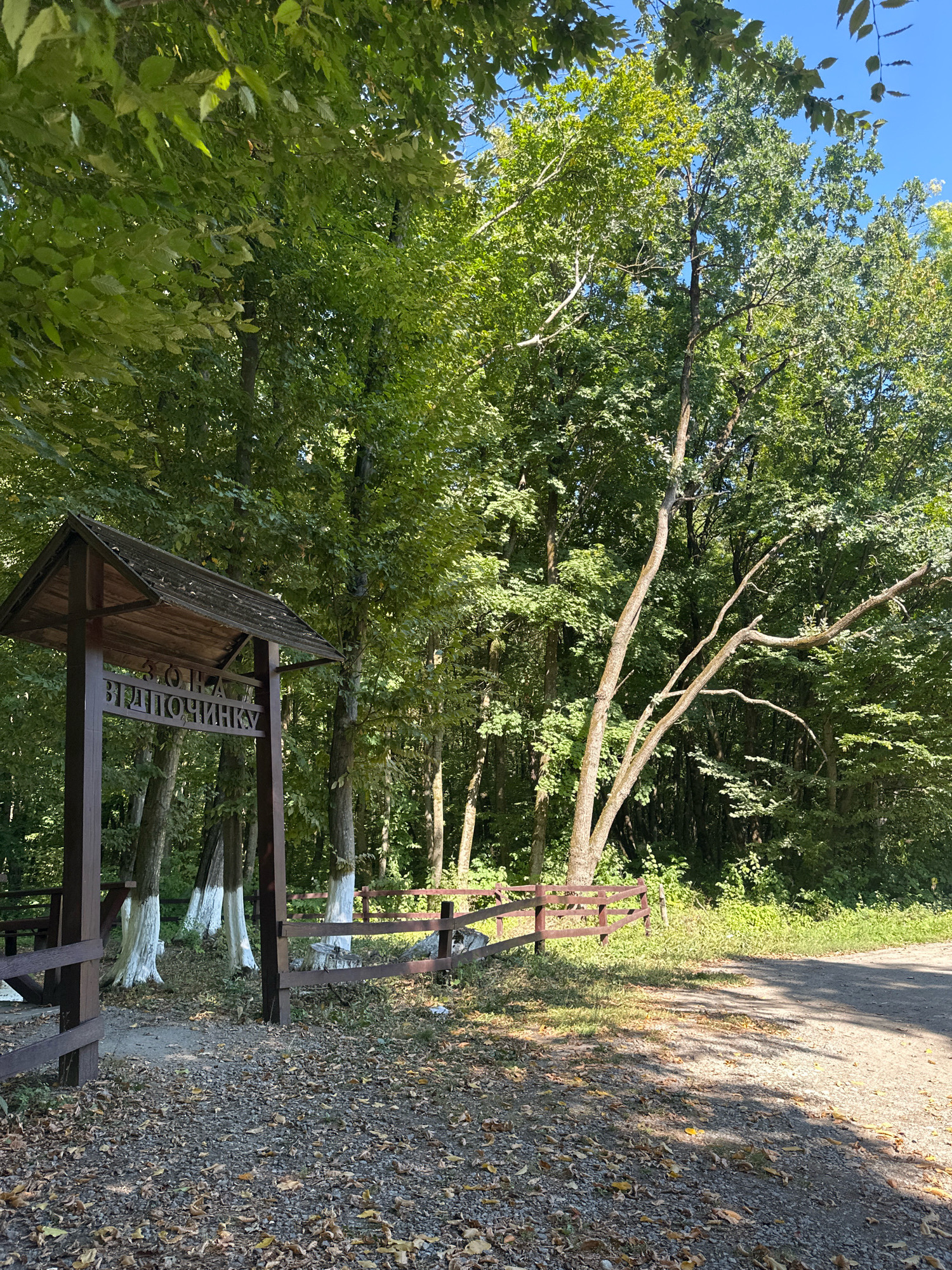 The image shows a wooden signpost with Cyrillic lettering, likely indicating a recreational area or a landmark, in the city of Shatava, Ukraine. The sign is positioned on the left side of the frame, partially shaded by the canopy of mature trees. The signpost is made of dark wood and has a triangular roof. The ground in front of the sign is covered with gravel and fallen leaves, suggesting an outdoor, possibly forested, environment.
Behind the sign, a wooden fence runs horizontally across the middle ground. Several trees with white-painted bases are visible behind the signpost and fence, a common practice in some regions to protect trees. The background is dominated by dense green foliage from the surrounding trees, indicating a natural or park-like setting. The sky is clear and blue. A dirt or gravel road is visible on the right side of the image. The overall scene is tranquil and depicts a natural landscape with a human-made structure for guidance or information. There are no people or animals visible in the image.