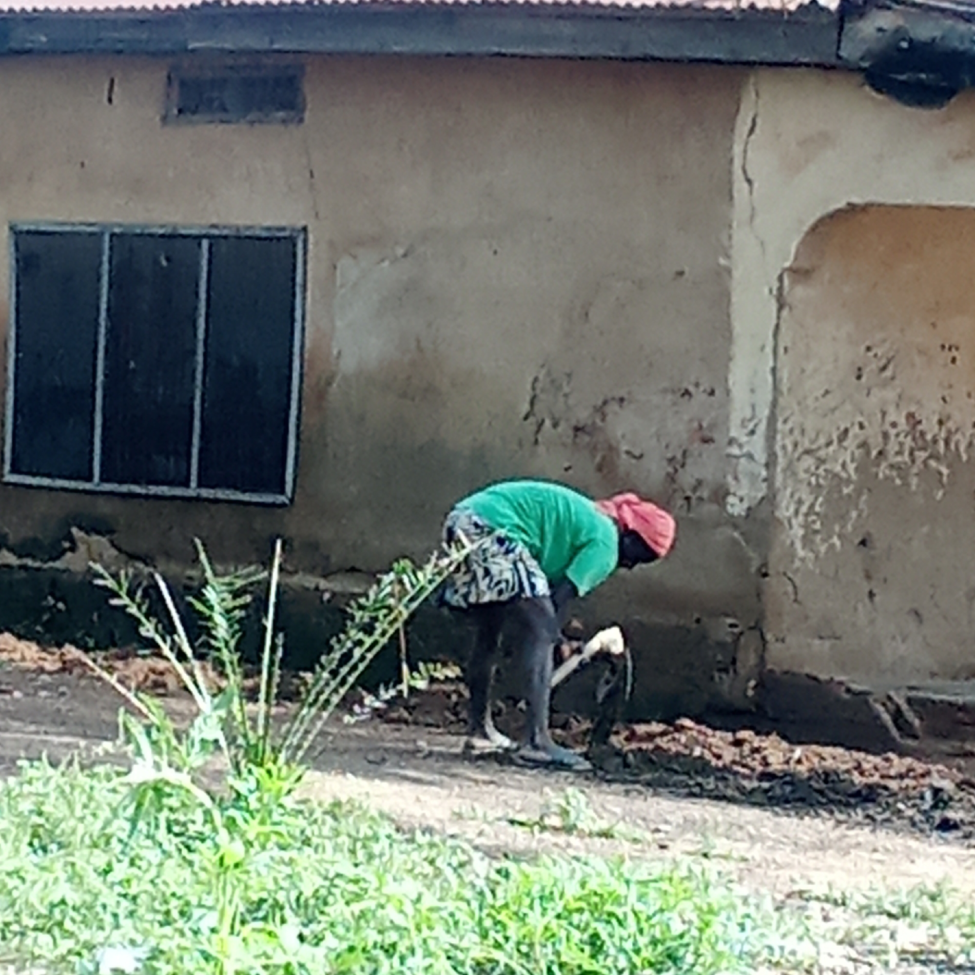 A person is working in the front yard of a building in Akwanga, Nigeria. The building has a rusty corrugated metal roof, a dark framed window, and a light colored exterior with visible cracks and erosion near the ground. The person is wearing a green shirt, patterned shorts, and a red head covering, and is bent over, using a hand tool to work in the dirt. Green vegetation is present in the foreground.