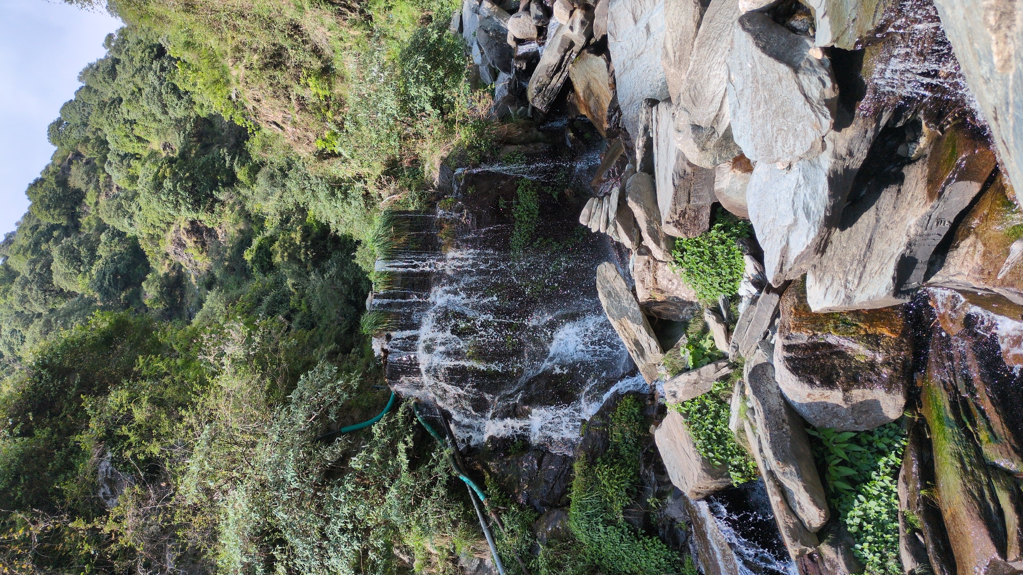 The image depicts a waterfall in Bhagsu, India. Water cascades over dark rocks into a pool below. A dense forest with green foliage covers the hill to the left. Large, light gray boulders are stacked on the right side of the waterfall. A green pipe snakes through the foliage to the left of the waterfall.