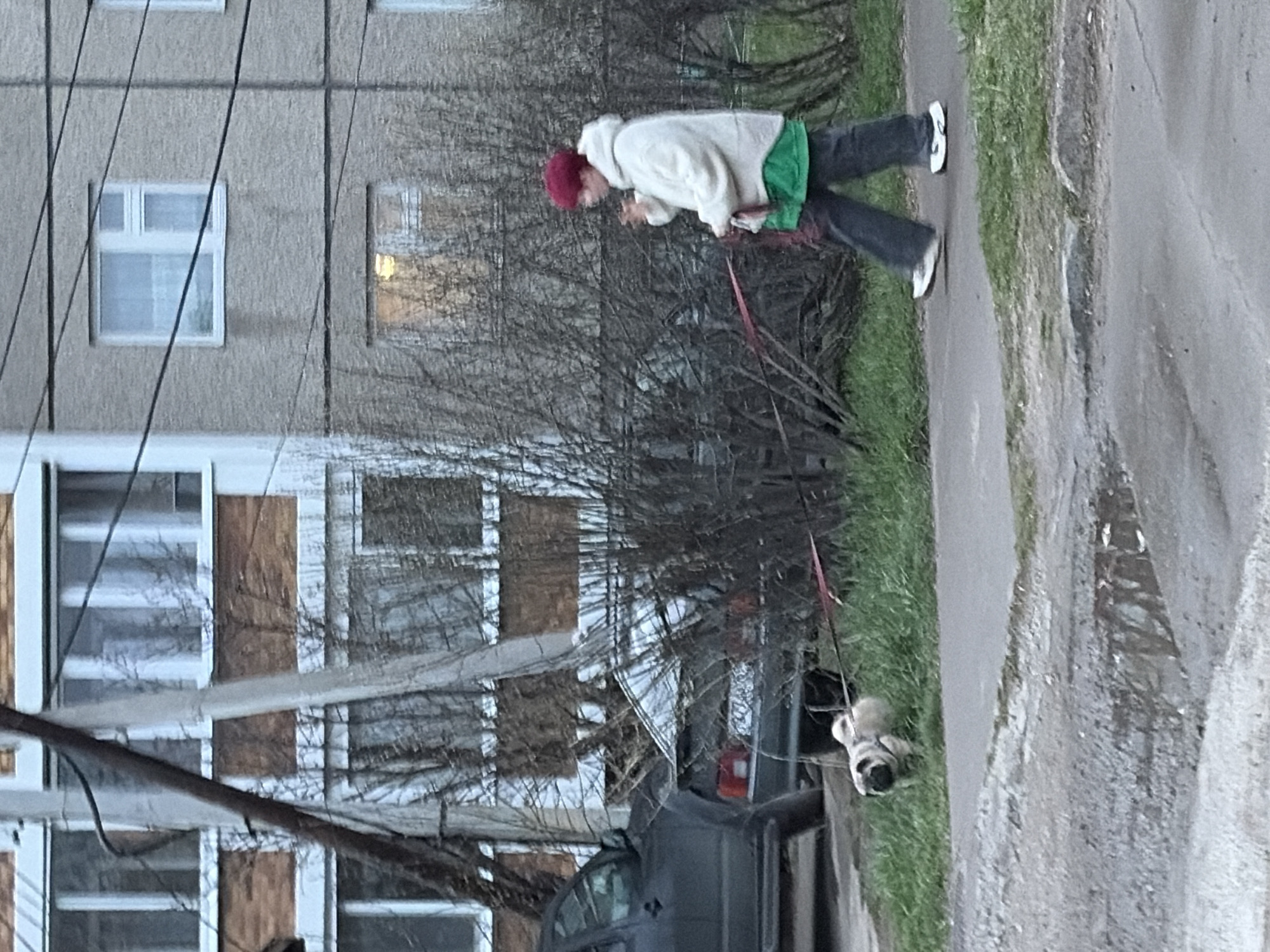 This image depicts an outdoor scene of a person walking a dog on a street next to a residential building. In the foreground, a person is seen from a side profile, wearing a red beanie, a white hooded sweatshirt over a green garment, dark pants, and white sneakers. They are holding a red leash attached to a small, light-colored dog, which walks ahead of them on a grassy patch beside the paved street. The dog appears to be a pug or a similar breed.
The background features a multi-story apartment building with a light, textured facade. Several windows are visible; some have white frames and curtains, while others on the lower floors appear to be boarded up with wooden panels. Overhead, dark utility lines diagonally cross the frame. Bare, leafless bushes and tree branches are scattered along the street, partially obscuring a dark-colored car parked near the curb. The ground consists of a grey paved surface and a rougher, lighter-toned dirt or gravel area.
The lighting suggests it is daytime, likely overcast or late in the day, with soft light and no strong shadows. A warm light emanates from one of the apartment windows. The leafless trees and the person's warm clothing indicate a cool season. While a license plate is visible on the parked car, no distinct text is clearly legible due to the distance and image quality. The scene is consistent with a residential area in a city like Chaikovsky, Russia.