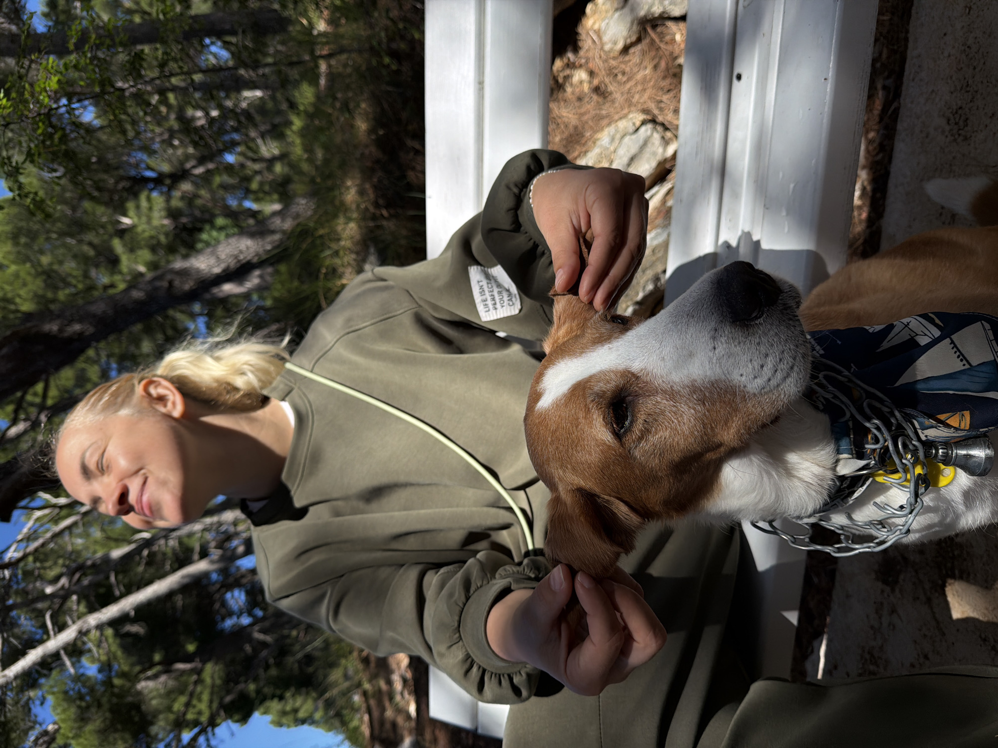 A medium-shot, candid image depicts a woman and a dog outdoors. The woman has light skin and blonde hair pulled back in a bun. She is wearing a dark green tracksuit. The dog is brown and white and wearing a silver chain collar with a bell. The woman is holding the dog's ear. The background includes a white wooden structure and foliage. The location is likely Petrovac centar, Montenegro, based on the user prompt.