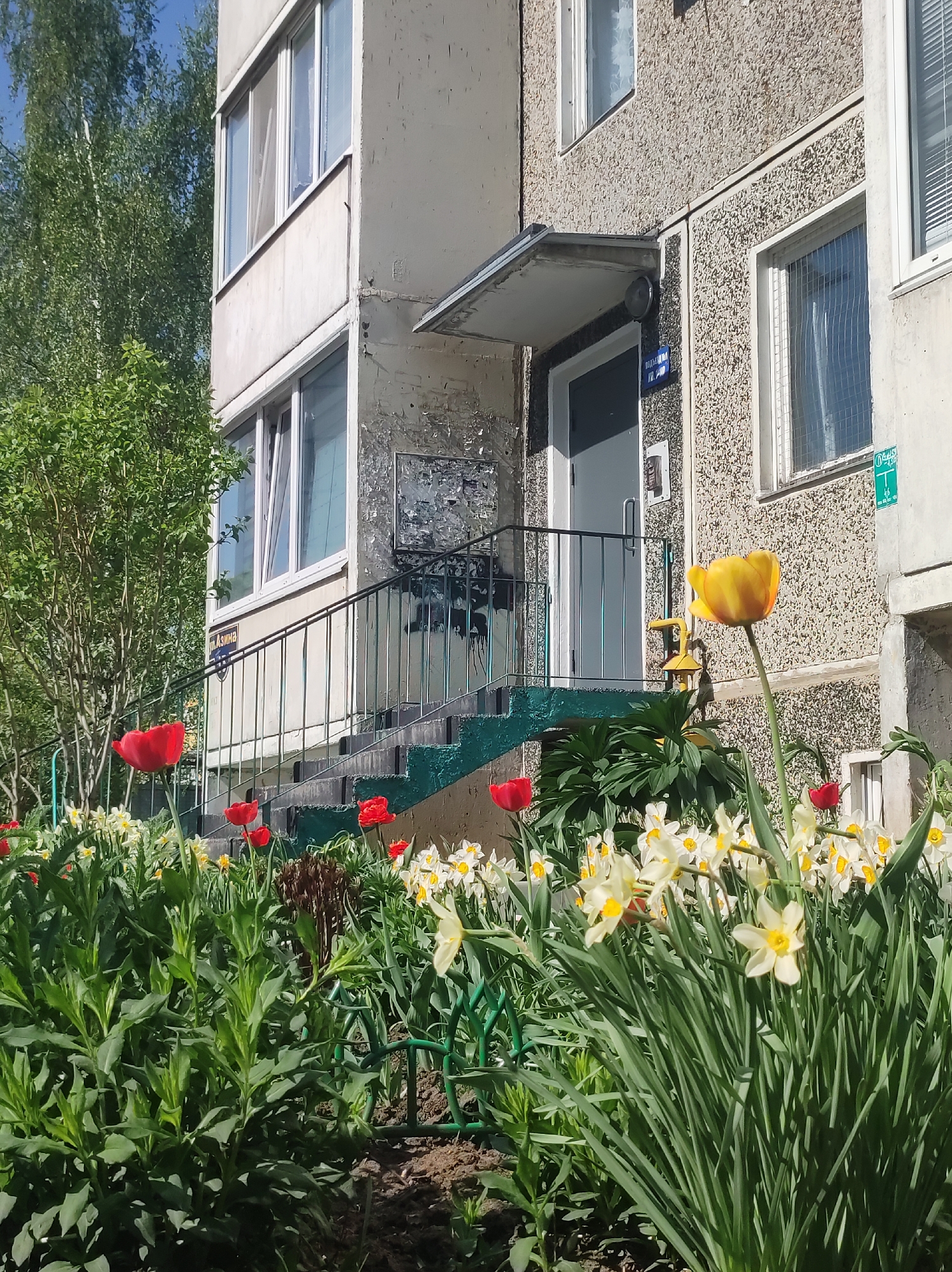 The image shows the exterior of a residential building in Chaikovsky, Russia. The building has a grey, textured facade with white-framed windows and a small entrance area with a grey door. The entrance is accessed by a set of steps with a black metal railing. A garden bed is located in front of the building, filled with a variety of flowers, including red tulips, yellow daffodils, and other green plants. A yellow gas pipe is visible near the building's entrance. A birch tree is seen in the background to the left of the building. The lighting suggests a bright, sunny day. A street sign with Cyrillic text is attached to the building near the entrance.
