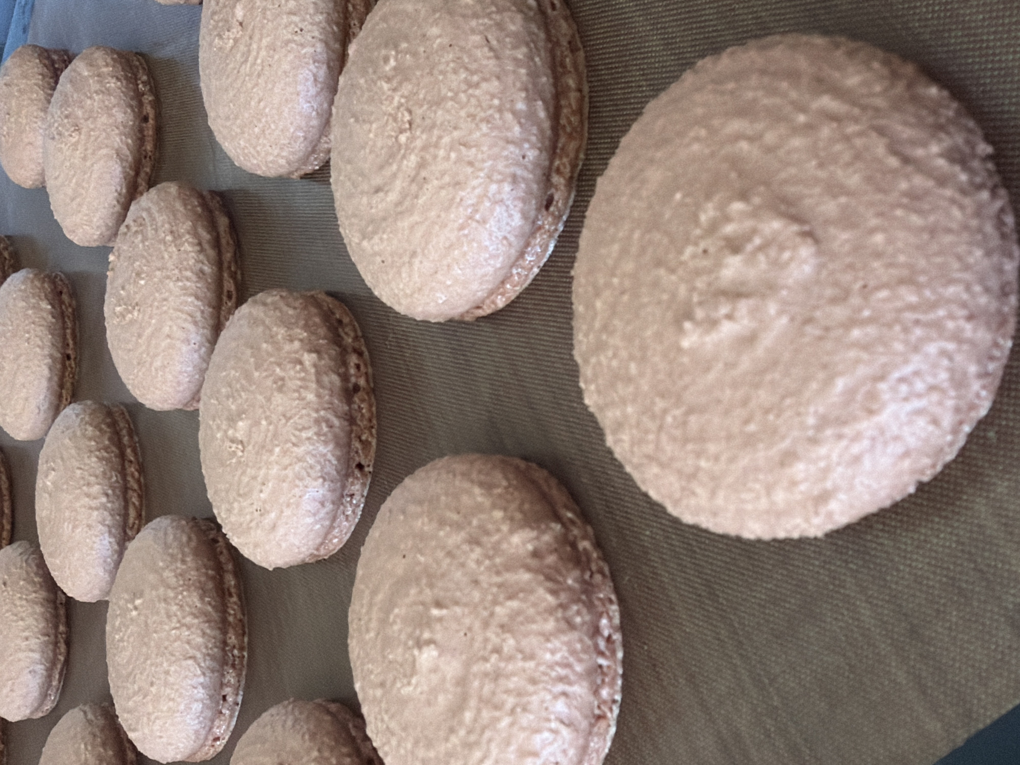 The image shows several rows of pale brown macarons on a dark grey baking mat. The macarons are round and appear to have a slightly textured surface. There are no people visible in the image. The background is limited to the baking mat and the macarons. There is no indication of a location in Tel-Aviv, Israel.