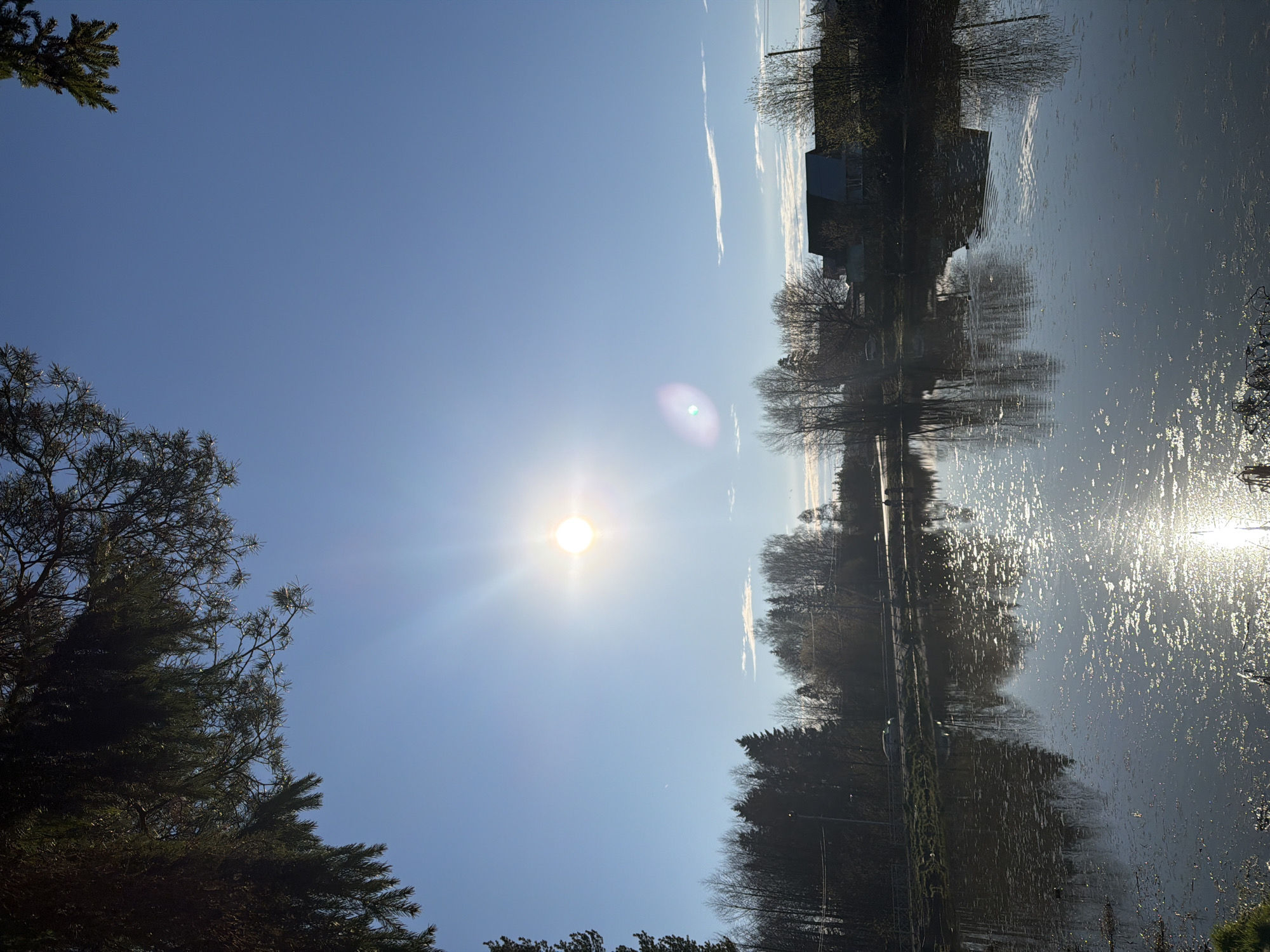 The image depicts a landscape, possibly in Chaikovsky, Russia, featuring a body of water reflecting the sky and surrounding vegetation. The sky is bright blue with the sun prominently visible, causing lens flare. Trees border the water's edge. The reflections in the water distort the shapes of the trees and a nearby building. No people are visible. The presence of a street lamp suggests a road alongside the water. Algae or other organic matter floats on the water's surface, partially obscuring the reflections.