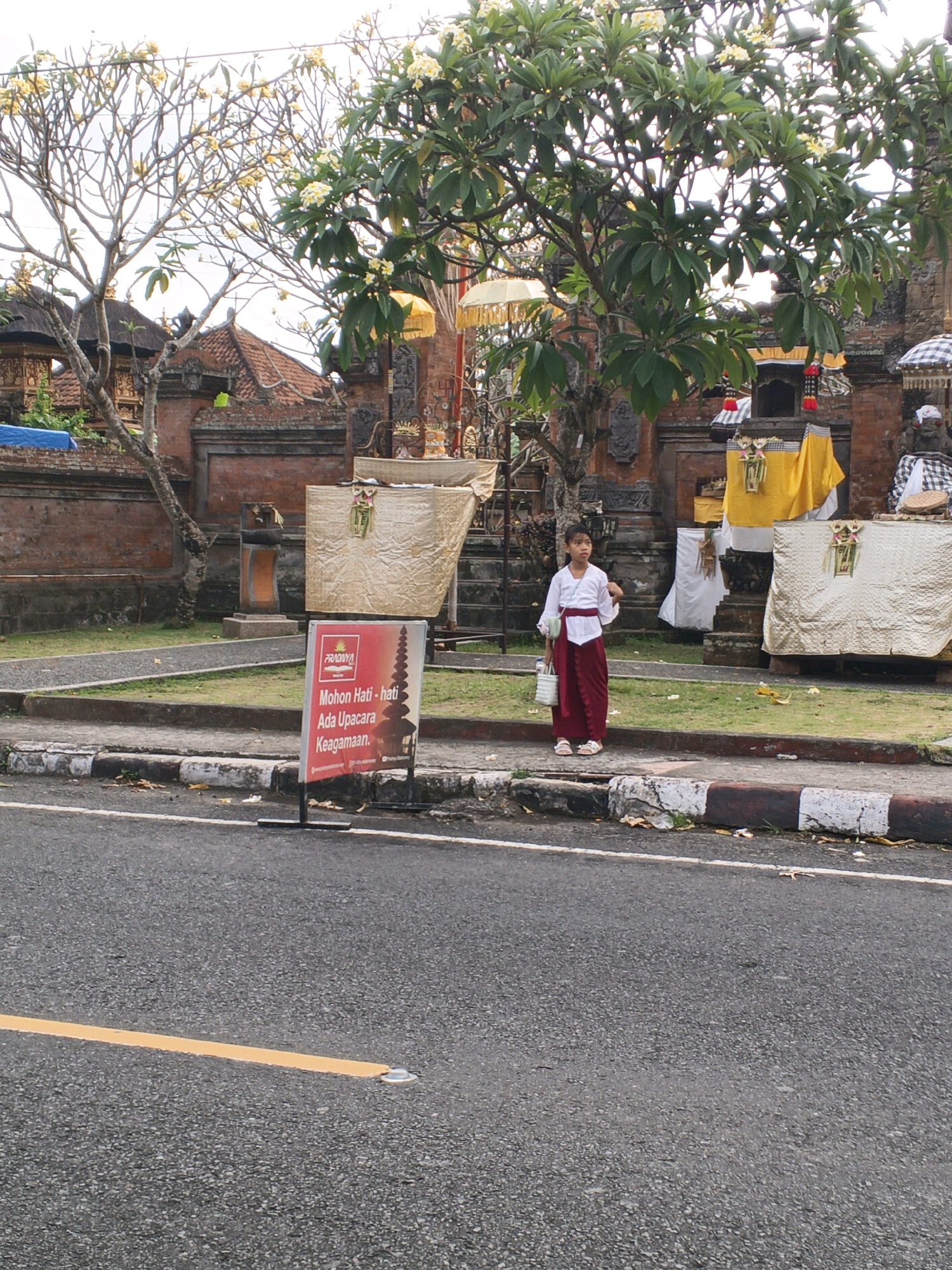 In Blahbatuh, Indonesia, a young person stands on a grassy median next to a street. They are wearing a white top and a dark red sarong, and carrying a white bag. The person is looking to the right. Behind them, a temple is visible, with red brick walls and traditional Balinese architecture. Yellow cloths and white coverings are draped over structures within the temple grounds, and several trees with white flowers are in bloom. A red sign with white text is positioned to the left of the person, indicating "Mohon Hati-hati Ada Upacara Keagamaan" which translates to "Please be careful, there is a religious ceremony." The street in the foreground is asphalt with a yellow line marking the lane.