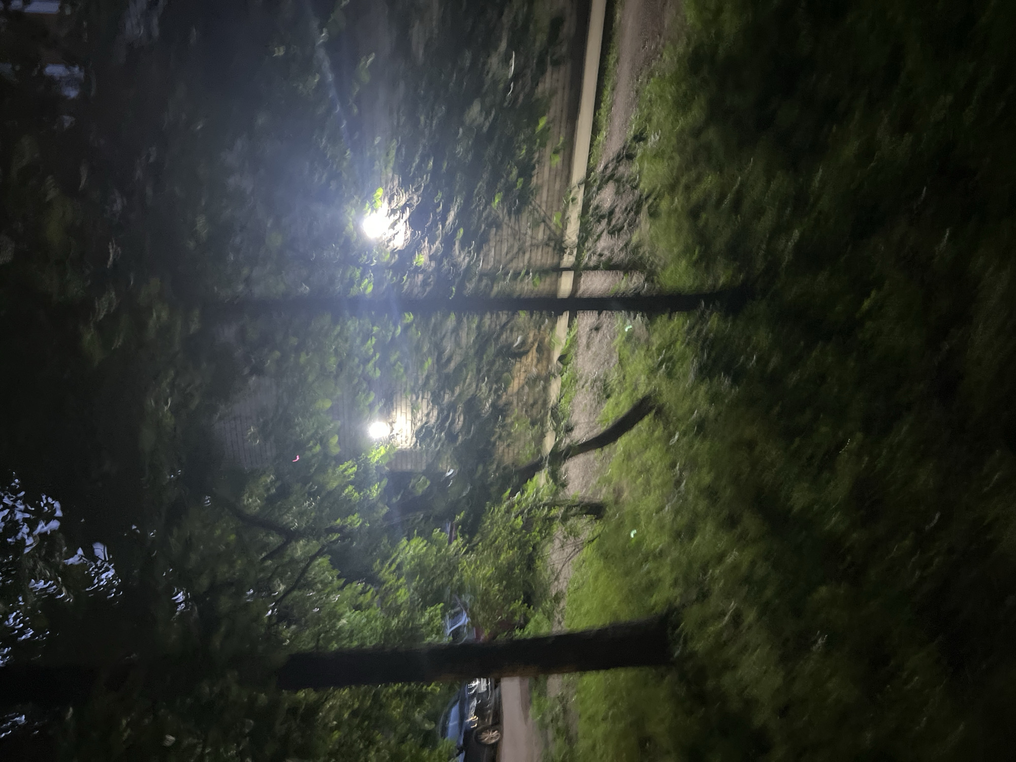 The image depicts an outdoor, low-light scene captured at night or dusk, characterized by dense foliage and artificial illumination. The primary focus is a collection of trees and undergrowth. In the foreground and mid-ground, numerous trees with dark green leaves are present, some appearing motion-blurred. A prominent tree trunk stands in the mid-left. The ground is covered with grass and dirt, with a path or unpaved road visible extending from the mid-left to the mid-right.
Two bright, artificial light sources illuminate the scene. One is located in the mid-right, emitting a strong white light, appearing to be a wall-mounted fixture on a light-colored brick structure, partially obscured by leaves. A second, less distinct light source is further back and to the left, also contributing to the ambient illumination.
In the upper-left quadrant, two vehicles are partially visible on an unpaved surface, indicating a parking area or local road. A dark-colored sedan or SUV is the most discernible vehicle. No individuals are visible.
The scene suggests a residential or park-like area adjacent to a residential zone within the city of Unknown, Russia, likely an unpaved section bordering private property or a communal green space. The overall image exhibits blurriness, typical of low-light photography.