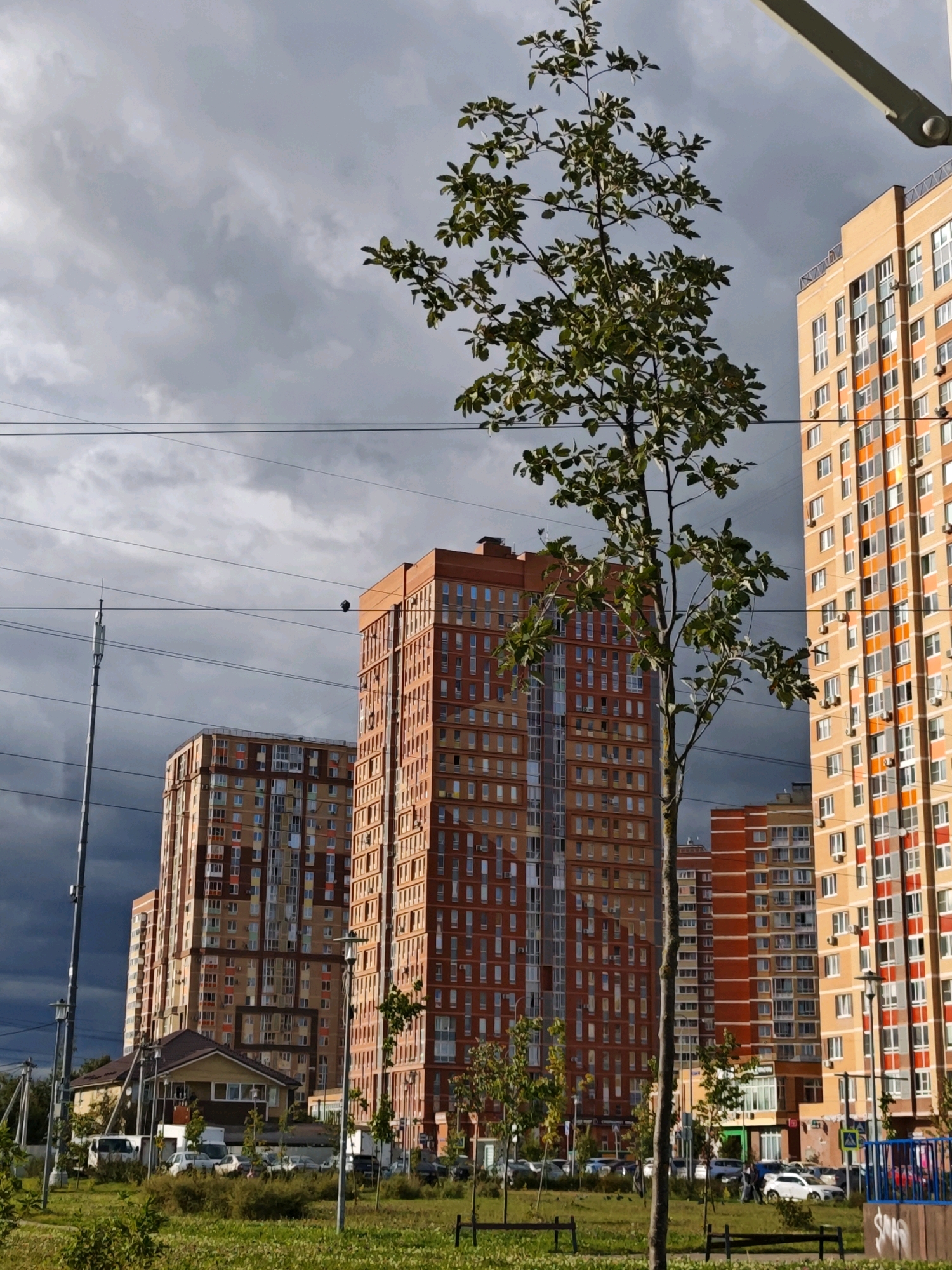 The image depicts a street scene in the city of Shcherbinka, Russia, under a cloudy sky. Dominating the scene are several multi-story residential buildings, primarily constructed with red and orange brick facades. These buildings feature numerous windows and balconies. In the foreground, a young tree with green leaves stands tall, partially obscuring the view of the buildings. Power lines are visible crisscrossing the sky, and a tall cell tower is located on the left side of the frame. Below the tall buildings, a lower structure with a brown roof is visible, along with parked cars and streetlights. The ground is covered with green grass and some patchy vegetation. There are no people or animals prominently featured in the image. The overall impression is one of an urban residential area with contemporary architecture under a somewhat overcast sky.