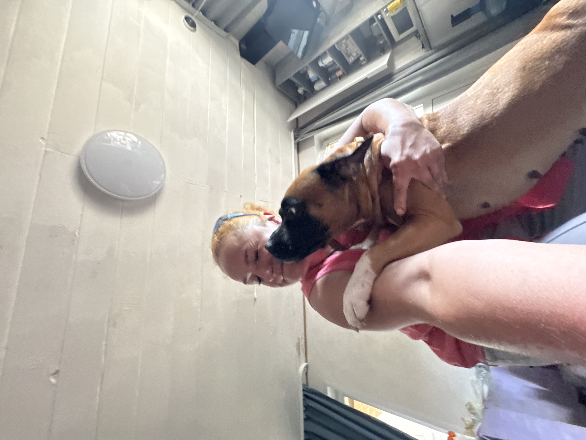 The image shows a person holding a small dog. The person is facing away from the camera, but their face is visible and they appear to be smiling. The dog is looking towards the person's face and appears to be nuzzling into them. The setting appears to be indoors, possibly a garage or workshop, with a corrugated metal ceiling and white walls. There is a circular light fixture on the wall. The lighting suggests it could be daytime, but it is difficult to determine the exact time. The person is wearing a pink shirt and the dog has brown and black fur. The overall mood of the image is one of affection and closeness between the person and the dog.