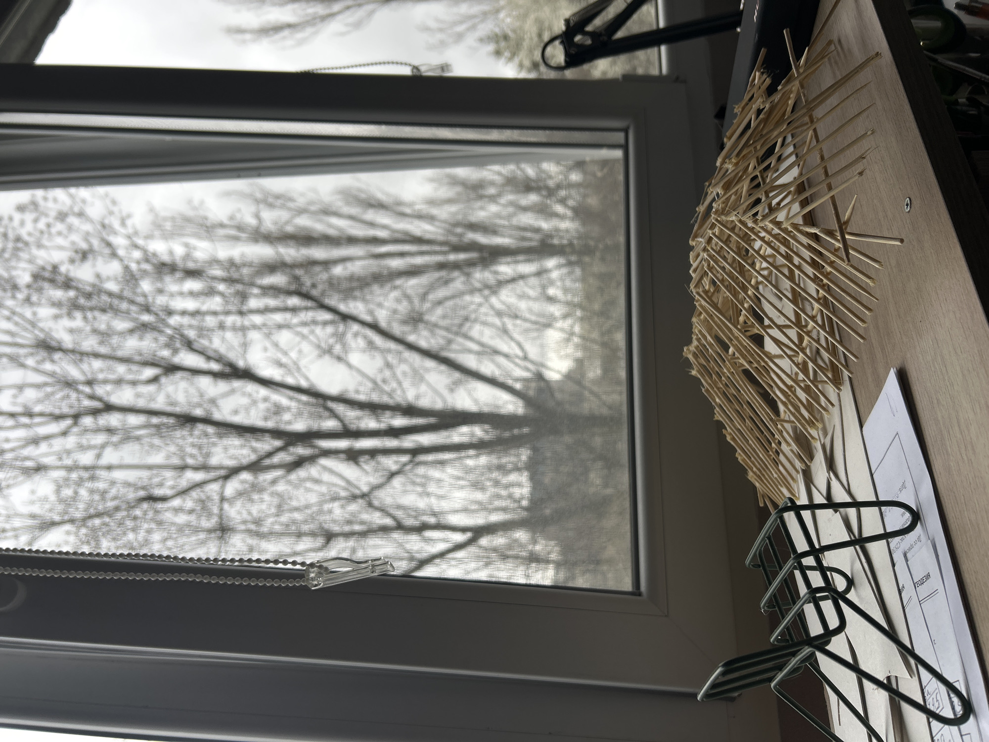 A daytime indoor scene shows a window with a blurred view of bare trees outside, likely a park or residential area in Sofia, Bulgaria, given the building style and foliage common to the region. The window has a beaded pull chain and a screen. To the right of the window, on a light-colored wooden surface, is a toothpick model, blueprints or architectural drawings, and a metal document organizer. The light is diffused and likely from an overcast sky.
