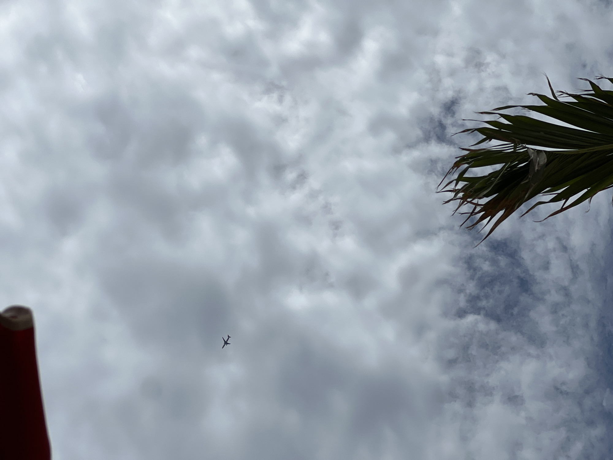 An airplane is seen flying in a cloudy sky. In the foreground, there is a part of a red object, likely an umbrella or awning, at the top left of the image. To the right and bottom of the image, palm fronds are visible against the sky. The clouds are dense and gray, suggesting an overcast day. The airplane is small in the frame and appears to be at a moderate altitude.