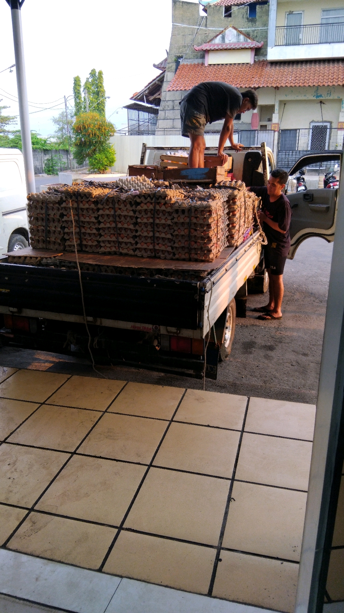 In the city of Pekalongan, Indonesia, a flatbed truck is being loaded with stacks of egg cartons. Two men are visible in the image. One man, wearing dark shorts and a dark t-shirt, is standing on the truck bed, leaning over to adjust the load of egg cartons. The other man, wearing dark shorts and a dark t-shirt, is standing next to the open driver's side door of the truck, looking towards the egg cartons. The truck bed is filled with numerous stacks of egg cartons, tied down with rope. In the background, there are buildings with tiled roofs and trees. The ground in the foreground is tiled.