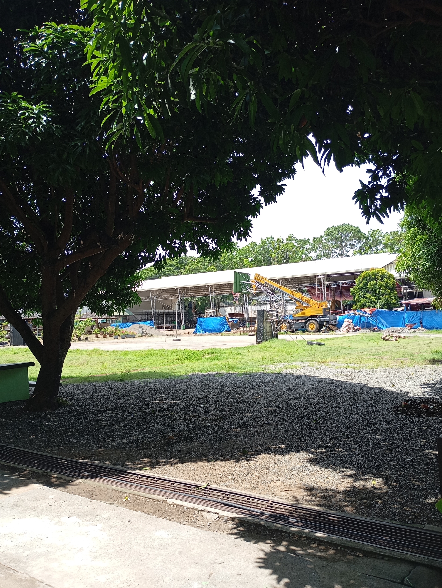 This outdoor image, likely taken in Davao City, Philippines, depicts a construction or renovation site on a bright, sunny day. In the foreground, a large tree with dark green foliage dominates the left side, casting dappled shadows across a concrete path and an adjacent gravelly area. A row of metal rebar or a drainage grate is visible along the edge of the concrete.
The midground features a grassy patch leading to the main construction activity. A prominent yellow mobile crane stands near a large, open-sided structure, its boom extended upwards. Around the base of the structure and the crane, blue tarpaulins cover various materials, and stacks of bricks or blocks are visible, indicating active work. A basketball hoop is attached to the framework of the building.
The background shows the large structure, which has a white, possibly corrugated roof supported by a visible steel truss system or scaffolding. More dense green trees are visible behind this building, extending towards the horizon under a clear, bright sky. The overall scene suggests a public or institutional setting, such as a school or community sports complex, undergoing development or improvement. The strong sunlight creates distinct shadows, indicating it is likely midday or early afternoon. No discernible text is visible.