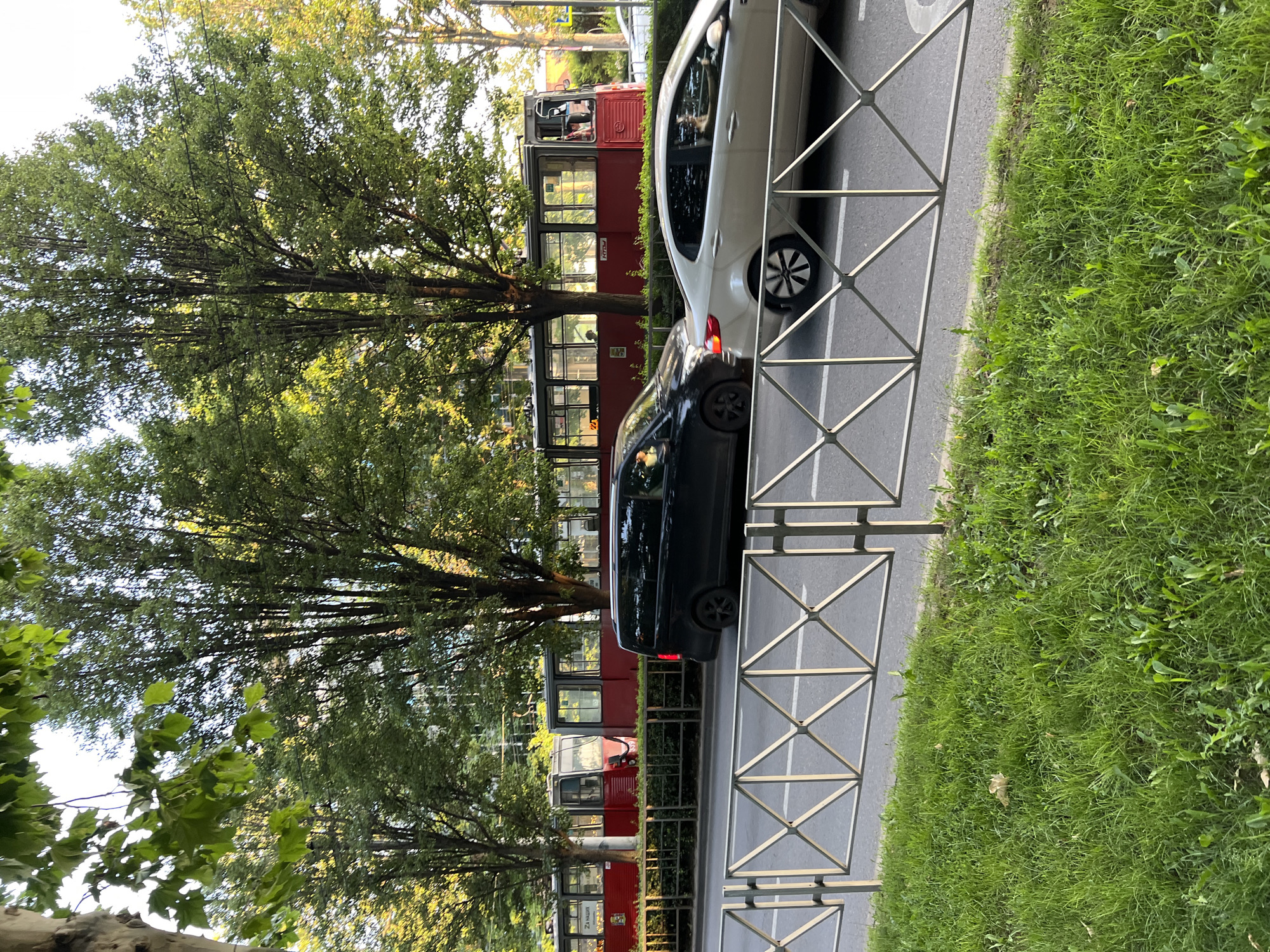 The image shows a street scene in Krasnodar, Russia. A red tram is visible, with passengers inside. Two cars are parked on the street next to the tram. One car is white, and the other is black. There is a patch of green grass on the right side of the image, and a fence separates the grass from the street. Tall trees with green leaves are on the left side of the image, casting shadows on the street. The sun appears to be setting, as indicated by the warm lighting and long shadows. The sky is partially visible through the trees and is a light blue color. The overall mood of the image is peaceful and serene. There are no discernible emotions conveyed by the people visible, and the scene appears to be a normal day in the city. The text "24 НАЧАЛЬНЫЙ" is visible on the tram.