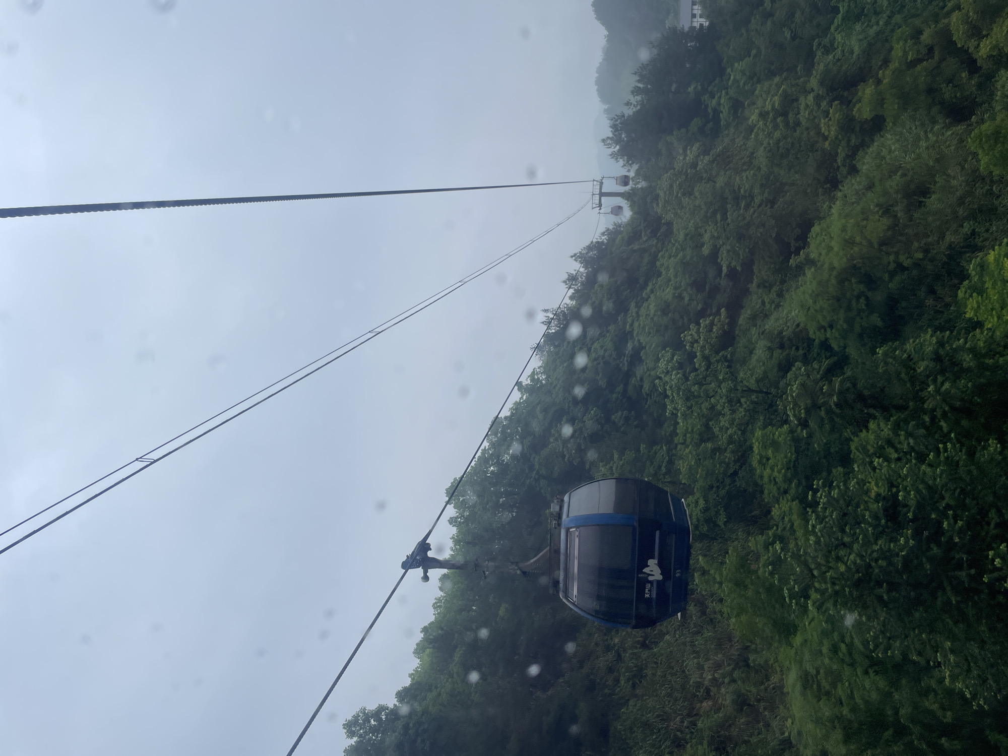 A cable car ascends, suspended from thick cables stretching above a dense, green forest. Raindrops are visible on the window, suggesting wet conditions. The cable car is blue and black with a logo visible on its side. The forest is dense and lush, with varying shades of green. In the background, more cable cars are visible on the cable system. The location is in Yongding District, China.