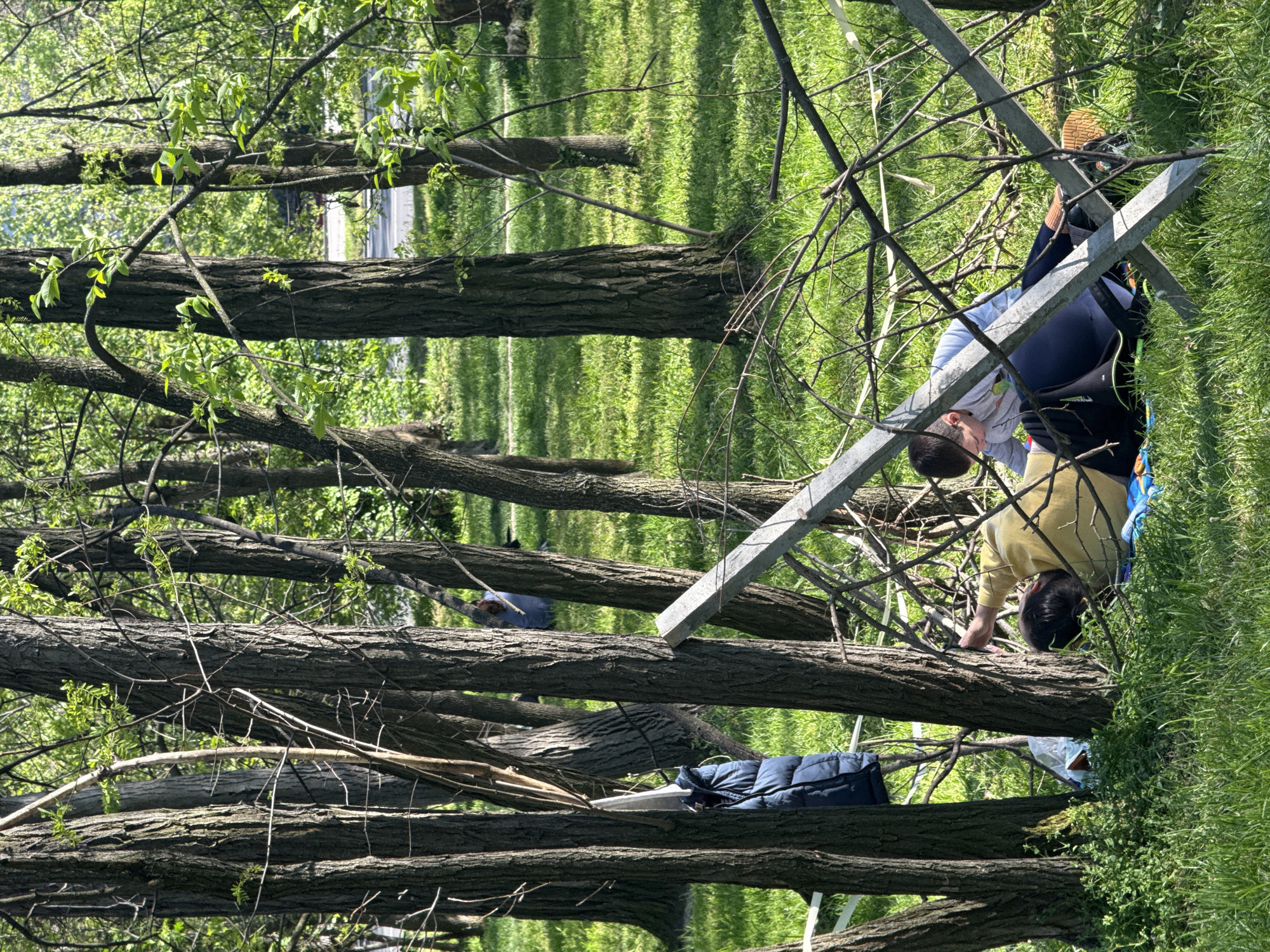 The image captures an outdoor scene in what appears to be a dense green area within Vozdovac Urban Municipality, Serbia. The setting is dominated by numerous tree trunks and branches, with vibrant green grass covering the ground, suggesting a park, forest edge, or overgrown natural space.
Two individuals are visible, actively navigating this challenging terrain. In the mid-ground on the right, a person wearing a light blue or grey long-sleeved shirt and dark trousers or leggings is seen from a side-back angle. They are in the process of climbing or stepping over a horizontal metal bar, which is intertwined with tree branches. A dark backpack or harness is on their back, and one shoe with a light brown sole is visible on the metal bar. Further to the left and slightly lower, another person, dressed in a yellow long-sleeved top, is crouching amongst the tree trunks and branches, possibly observing or engaged in a similar activity. Their dark hair is visible.
Among the natural elements, a prominent silver-colored, rectangular metal bar is angled across the frame, forming part of an obstacle or structure. A blue padded jacket or backpack rests on a lower tree trunk to the left of the crouching individual, and a white plastic bag is also visible nearby.
The activity suggests an exploration, traversal, or possibly clearing of a complex, wooded area. The bright sunlight indicates a clear day, likely midday or early afternoon, with distinct shadows cast on the grass and trees. No visible text is present in the image.