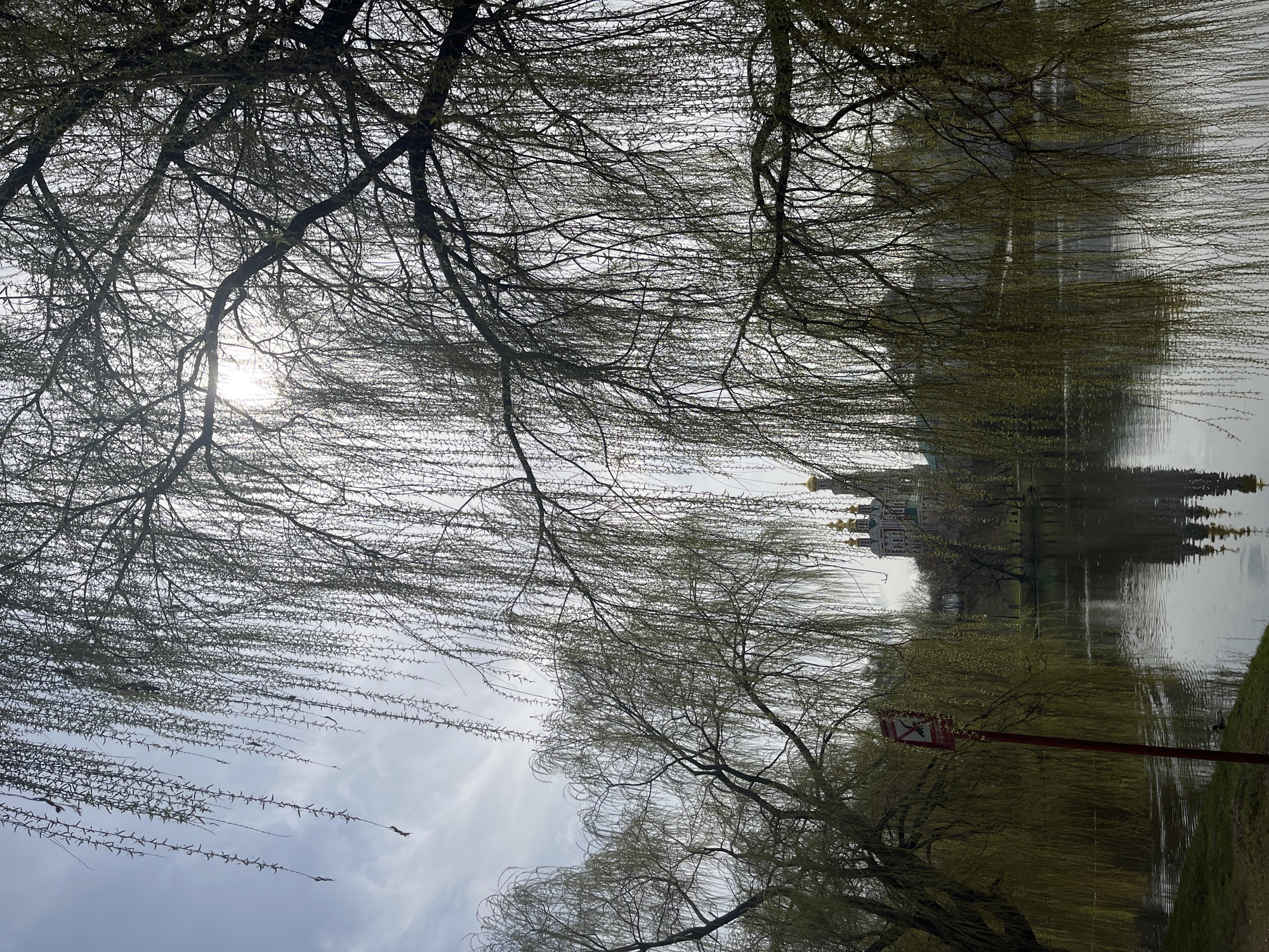 The image shows a view of the Novodevichy Convent in Moscow, Russia, reflected in the water of a nearby pond. The foreground is dominated by willow trees with bare branches, some obscuring the view of the sky, which is overcast. In the middle ground, the convent's architecture is visible, including golden domes and red-and-white walls, with the reflection completing the scene. A red signpost is located on the lower right of the frame. The environment suggests a calm, possibly early spring or late autumn day. No people are directly visible in the scene.