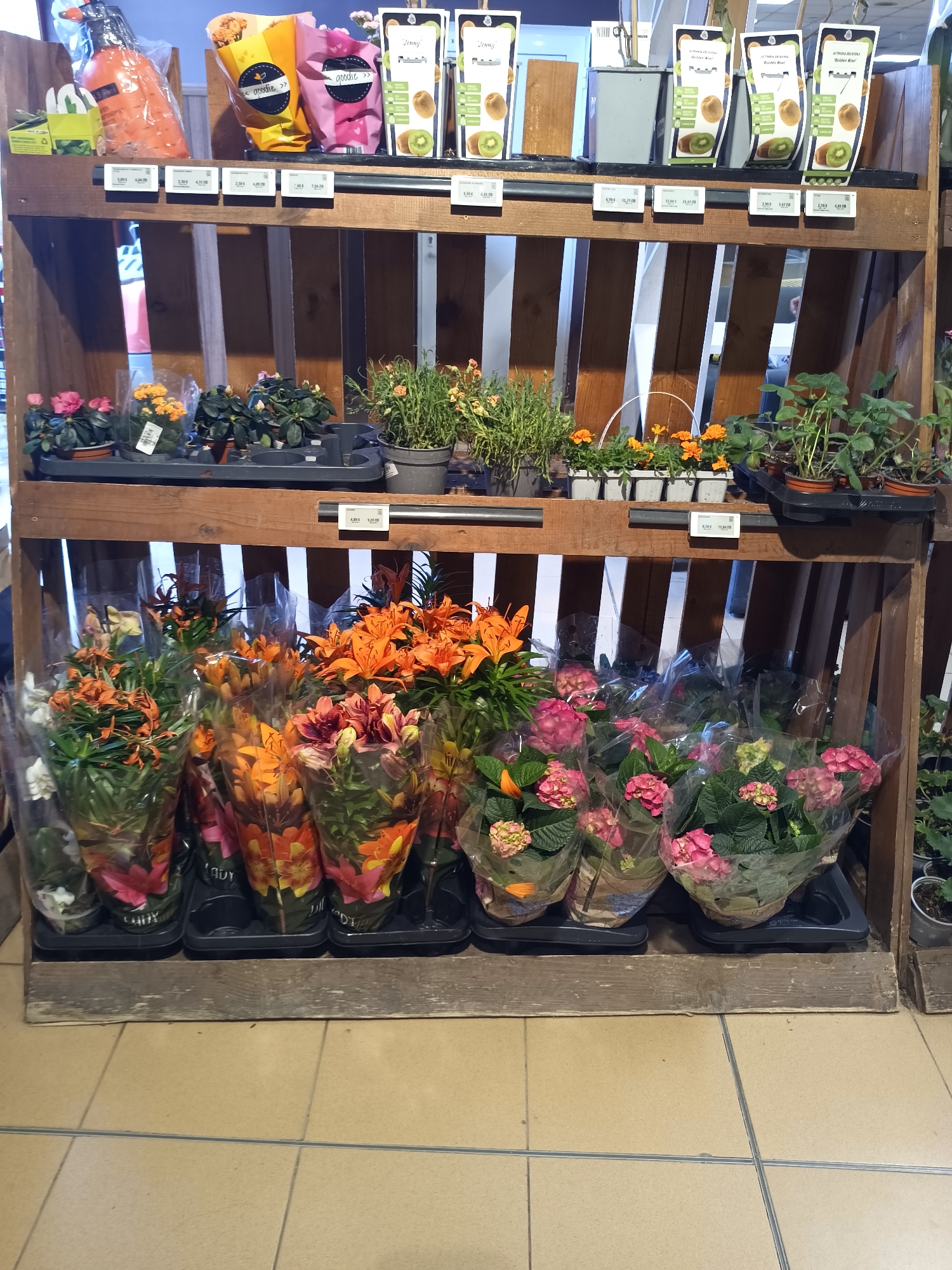 The image shows a wooden retail display in a store, likely a supermarket or garden center. The display is filled with a variety of plants and flowers. On the top shelf are items in plastic packaging, possibly food items. The second shelf contains potted plants, including small flowering plants and herbs. The bottom shelf is filled with bouquets of orange lilies and potted pink hydrangeas, all wrapped in clear plastic. Price tags are visible beneath each shelf. The OCR data suggests the presence of a product labeled "Jenny Boldee Kiwi" and a brand name "goodie". The context indicates that the location might be in Targovishte, Bulgaria, based on the currency formatting on the price tags, but this information is not visually verifiable in the image.